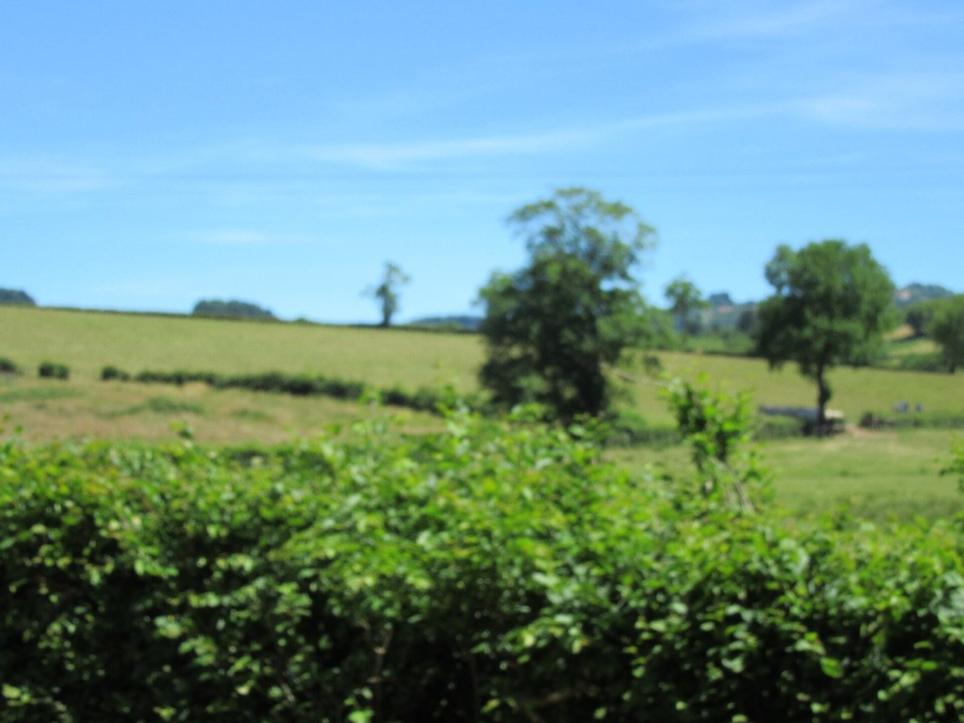 Terrain