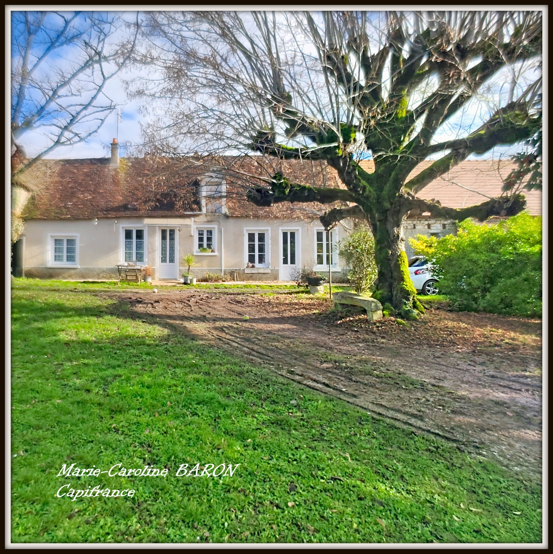 Maison