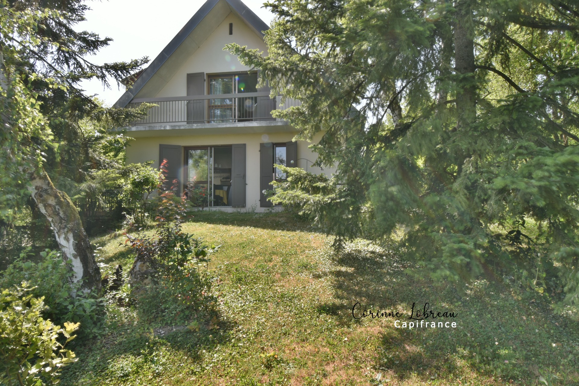 Maison