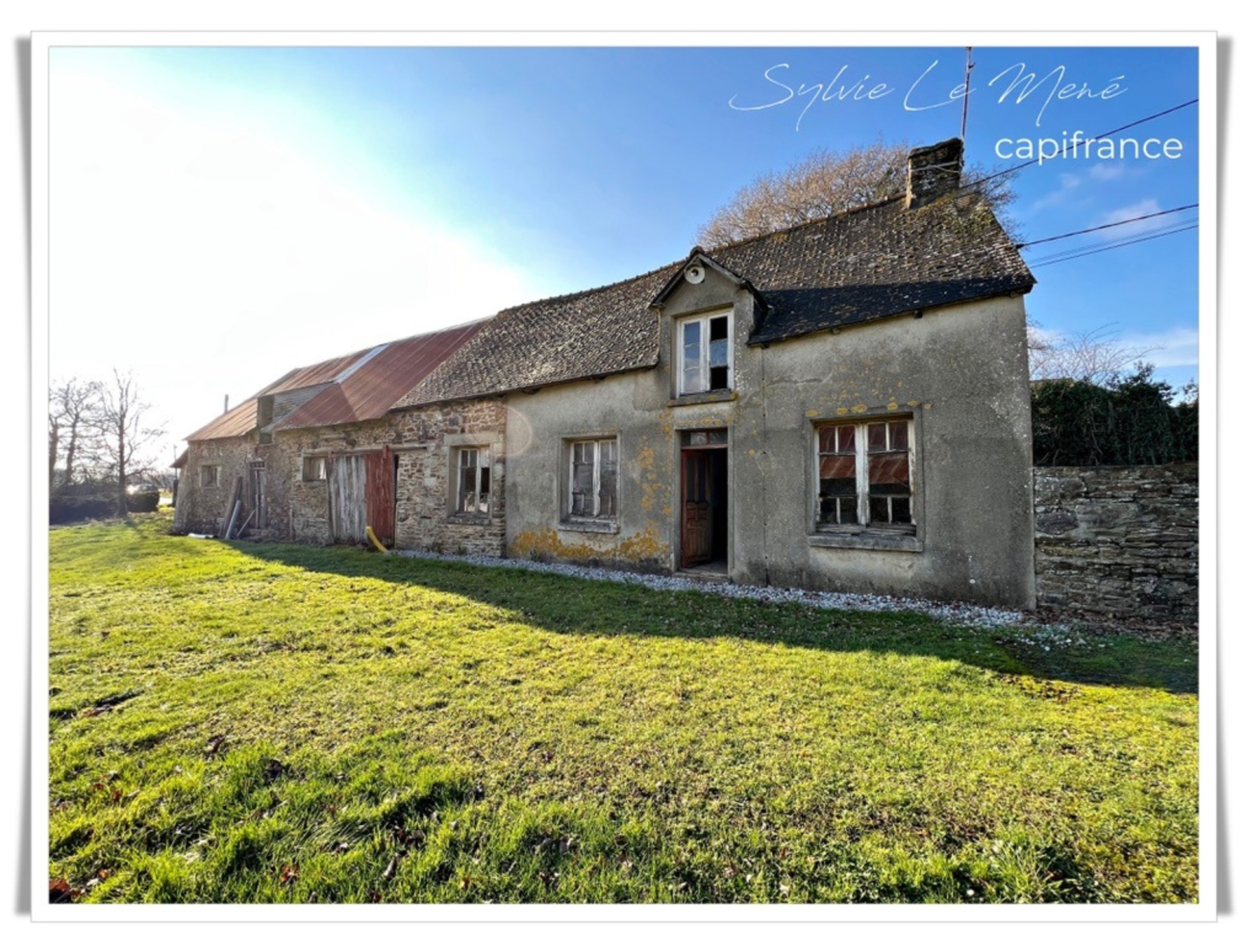 Maison