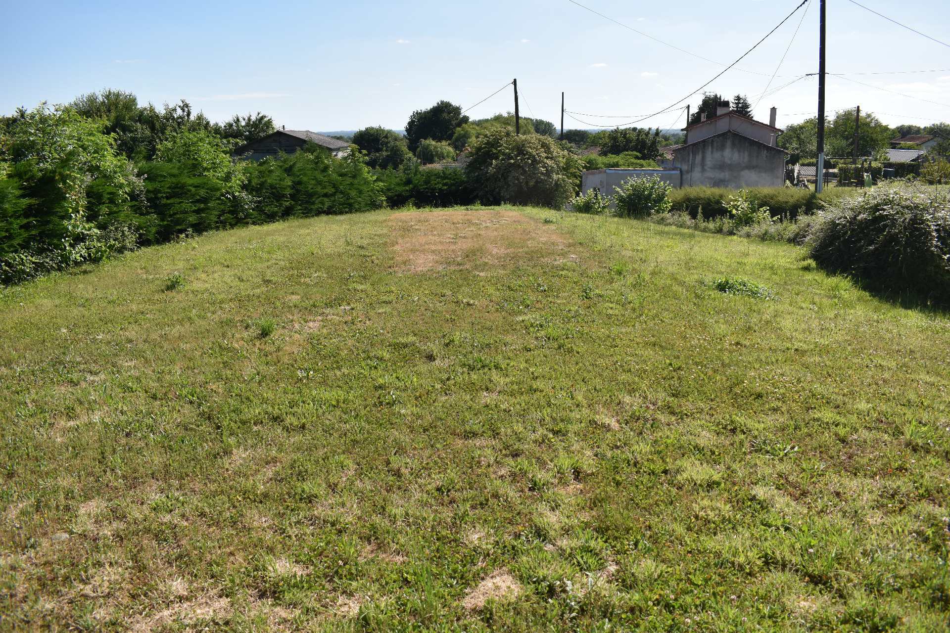Terrain