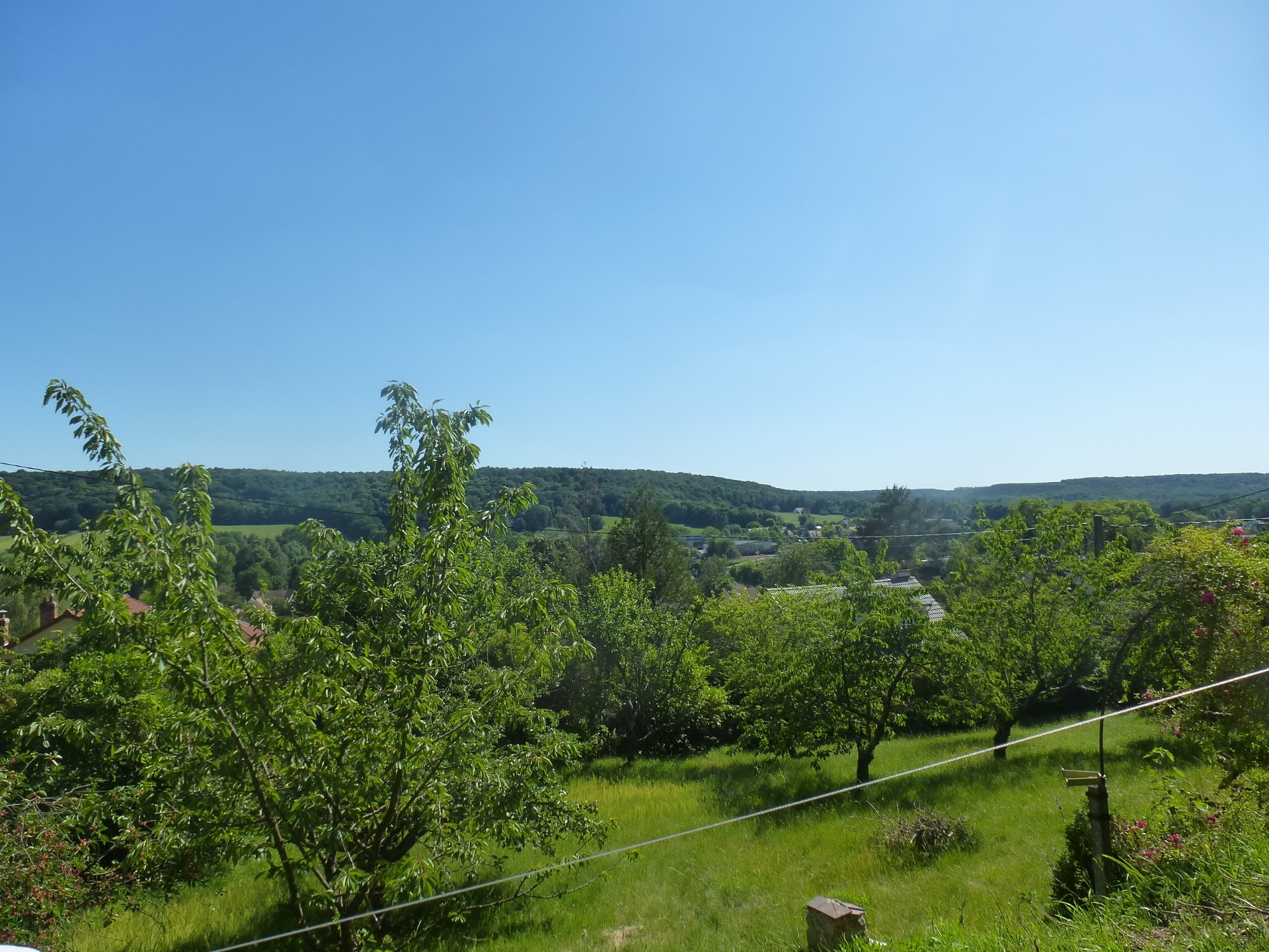 Terrain