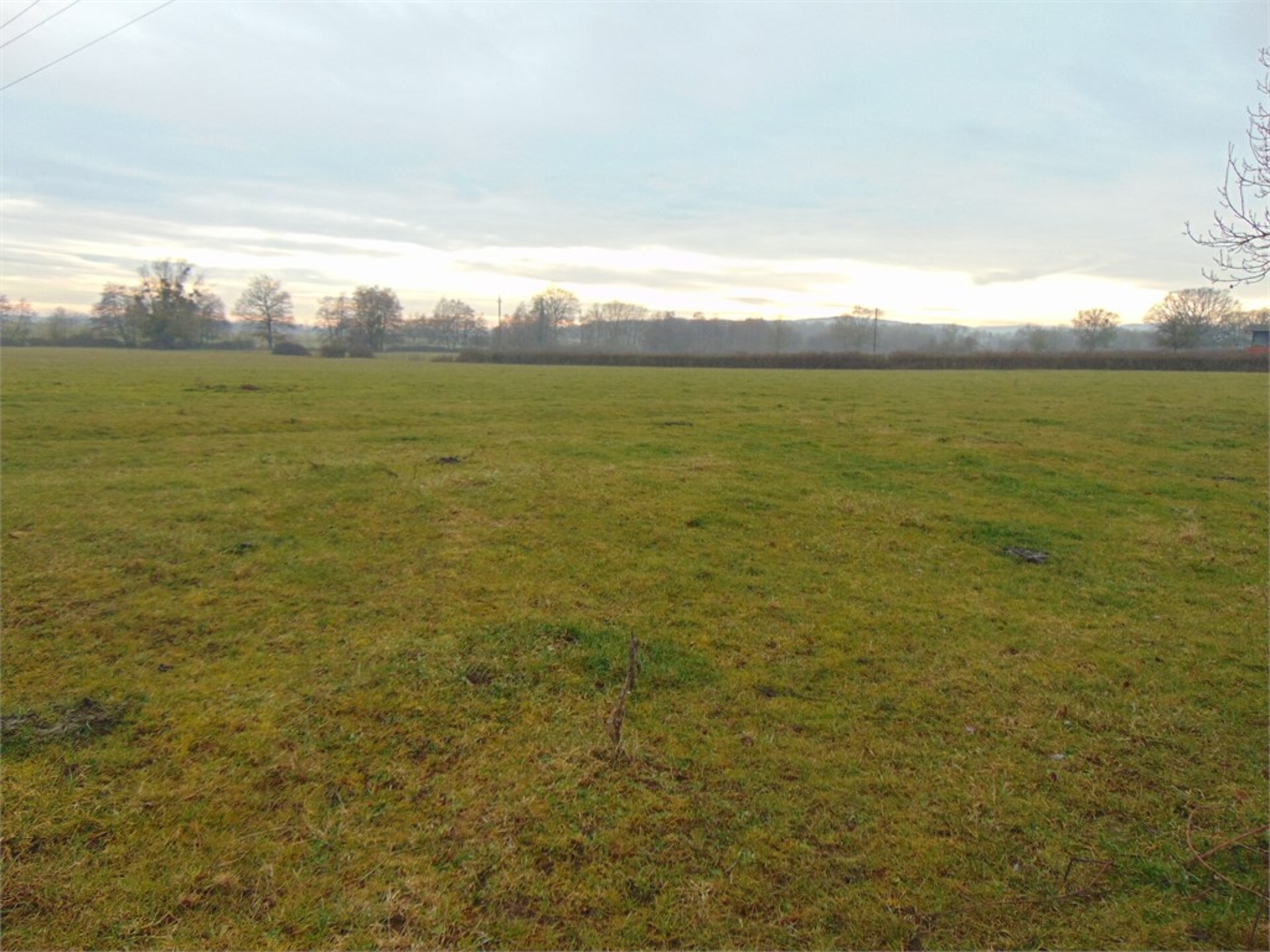 Terrain