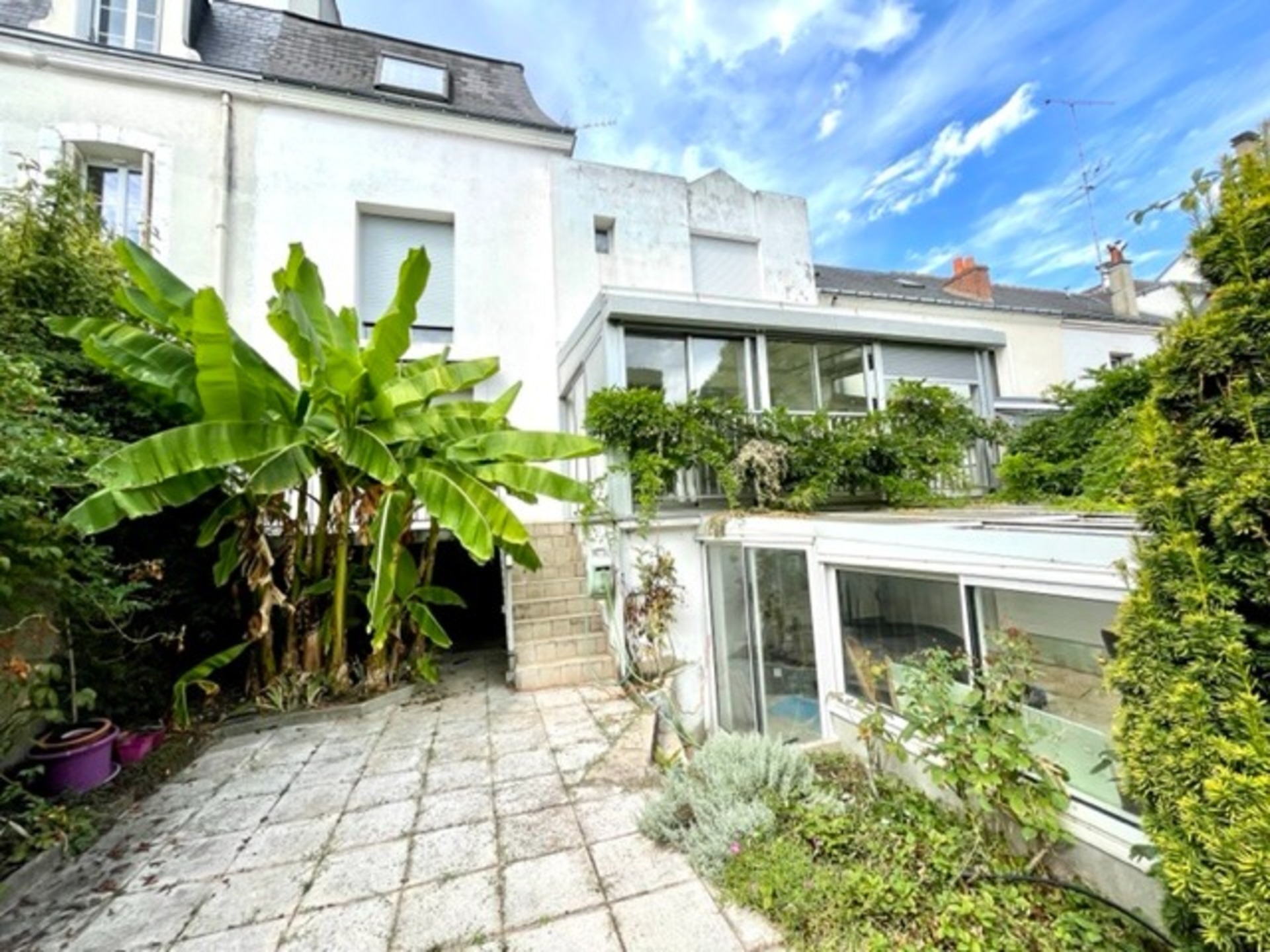 Maison