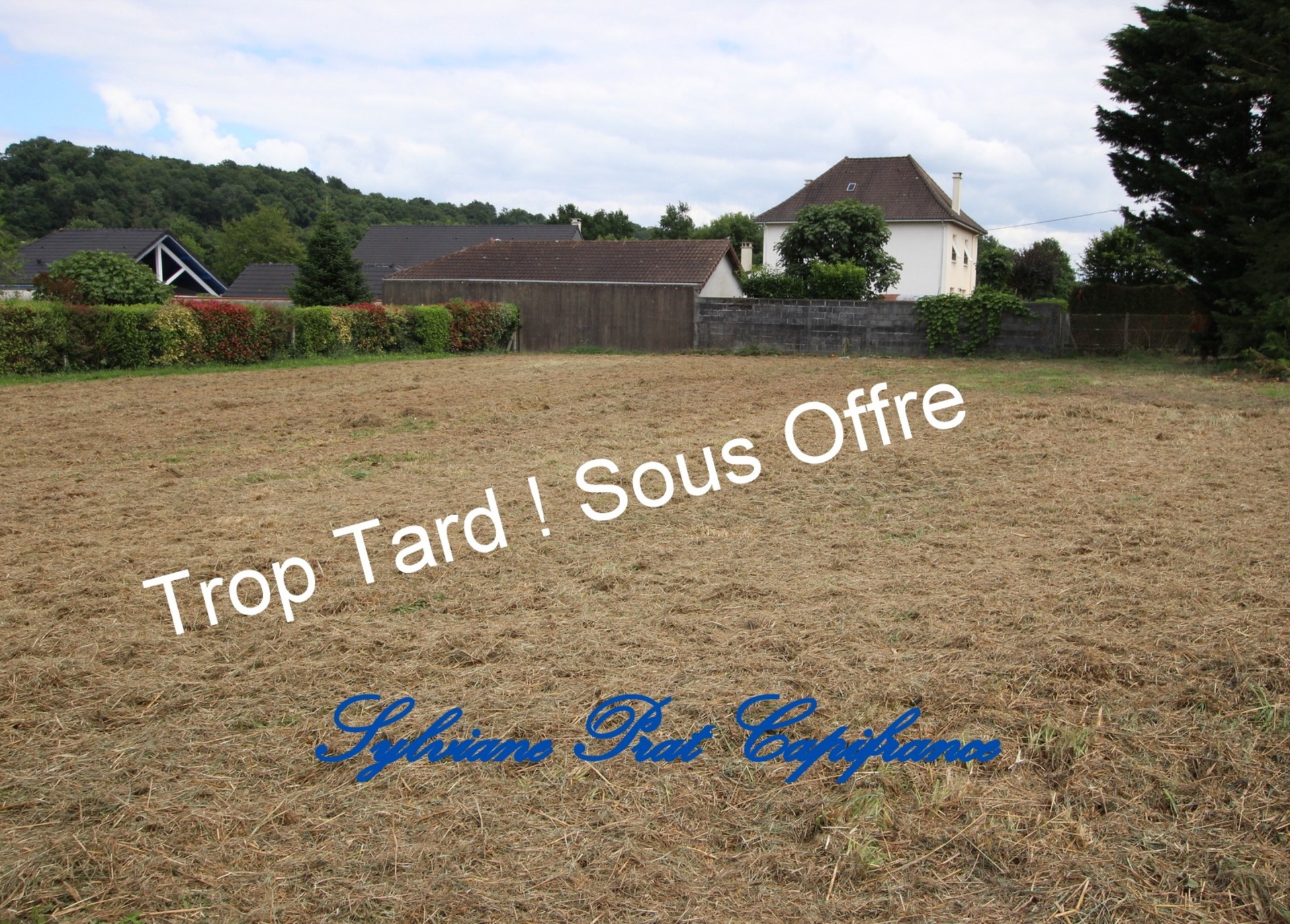 Terrain