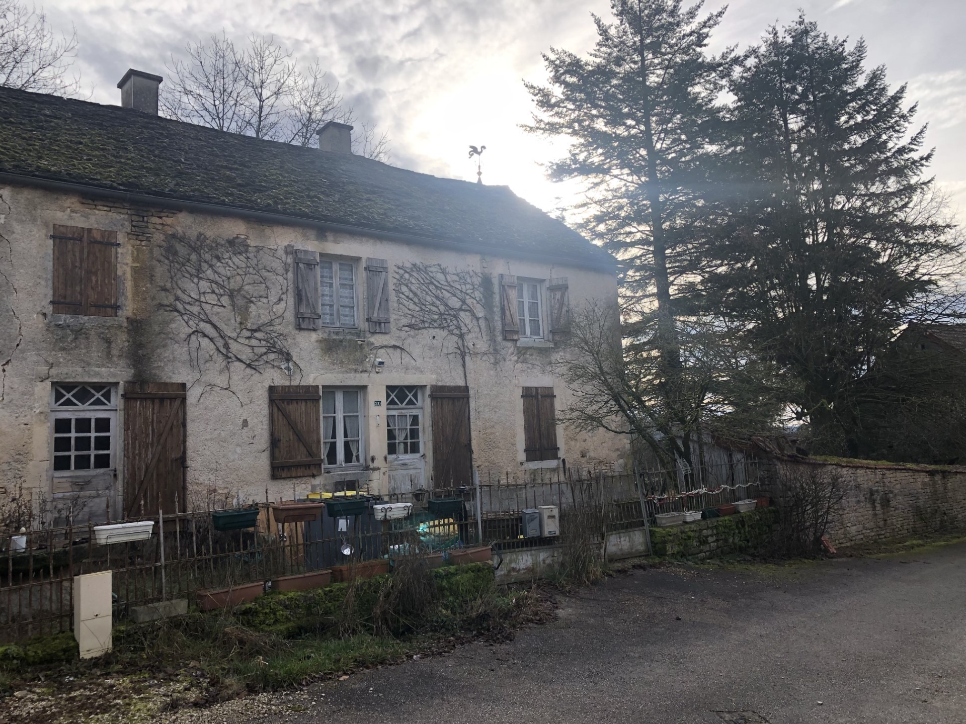 Maison