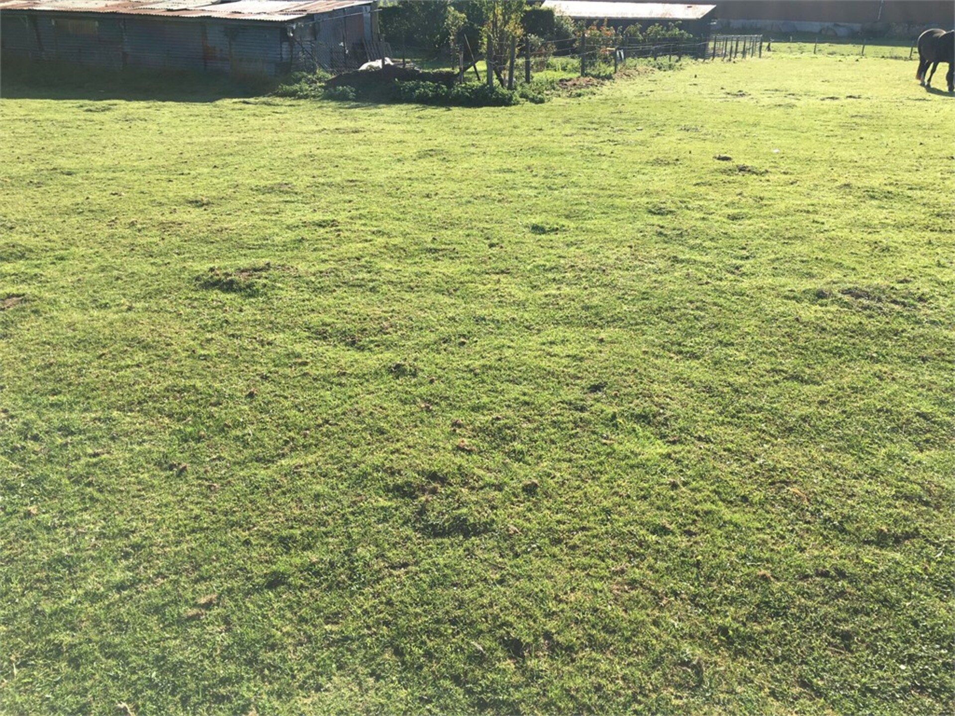 Terrain