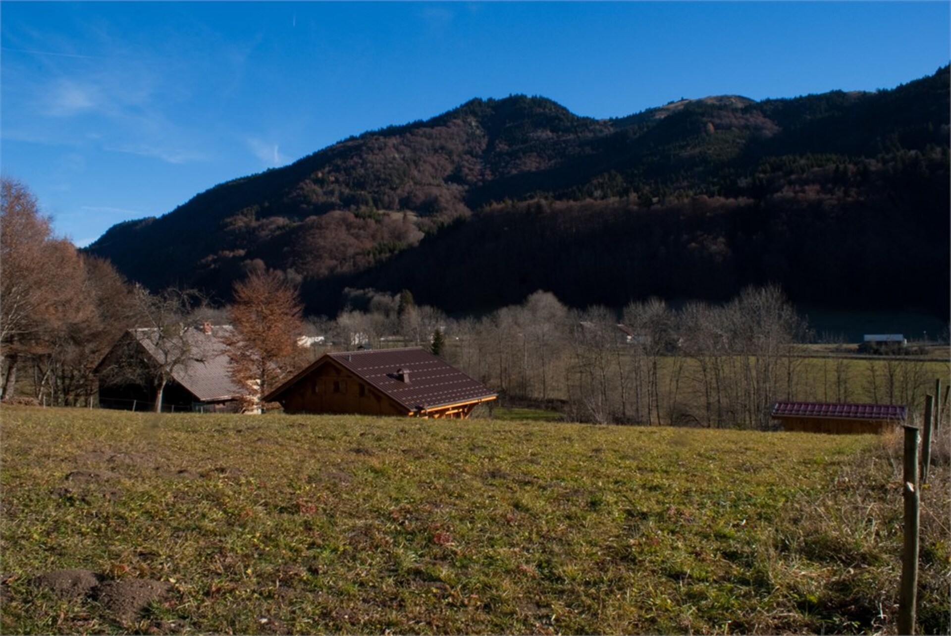 Terrain