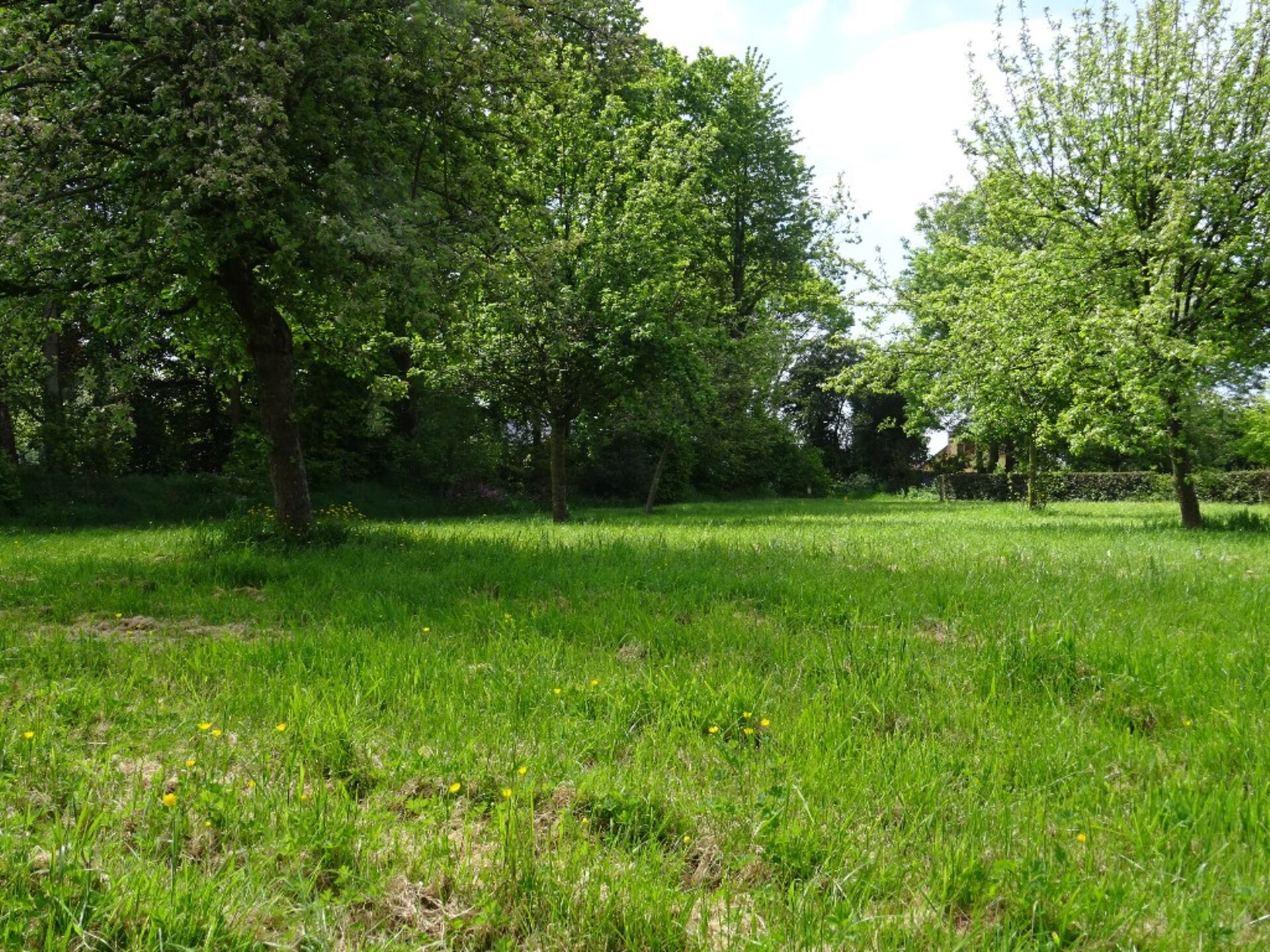 Terrain