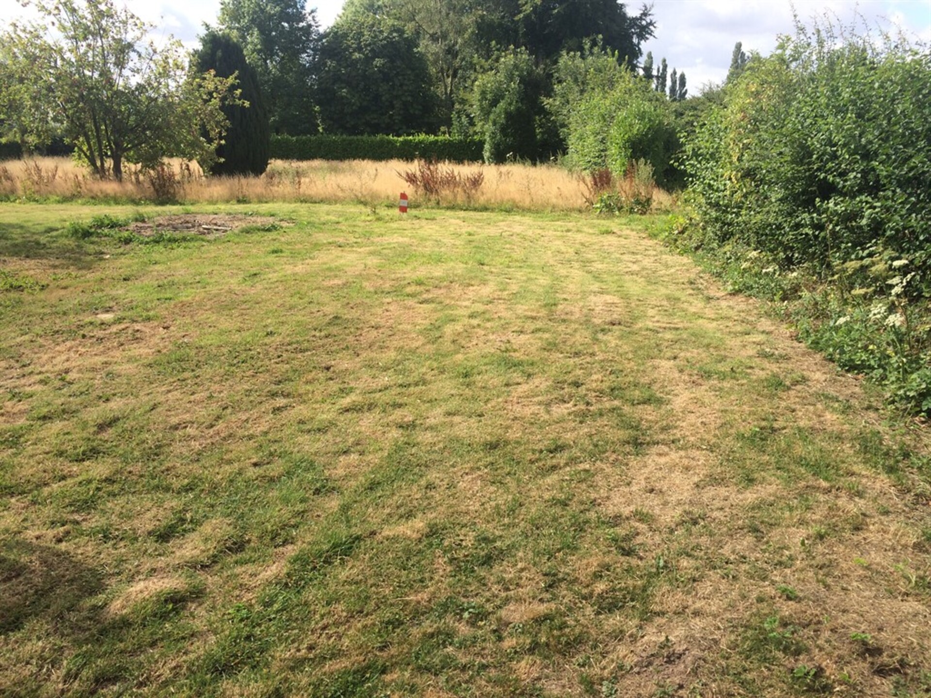Terrain
