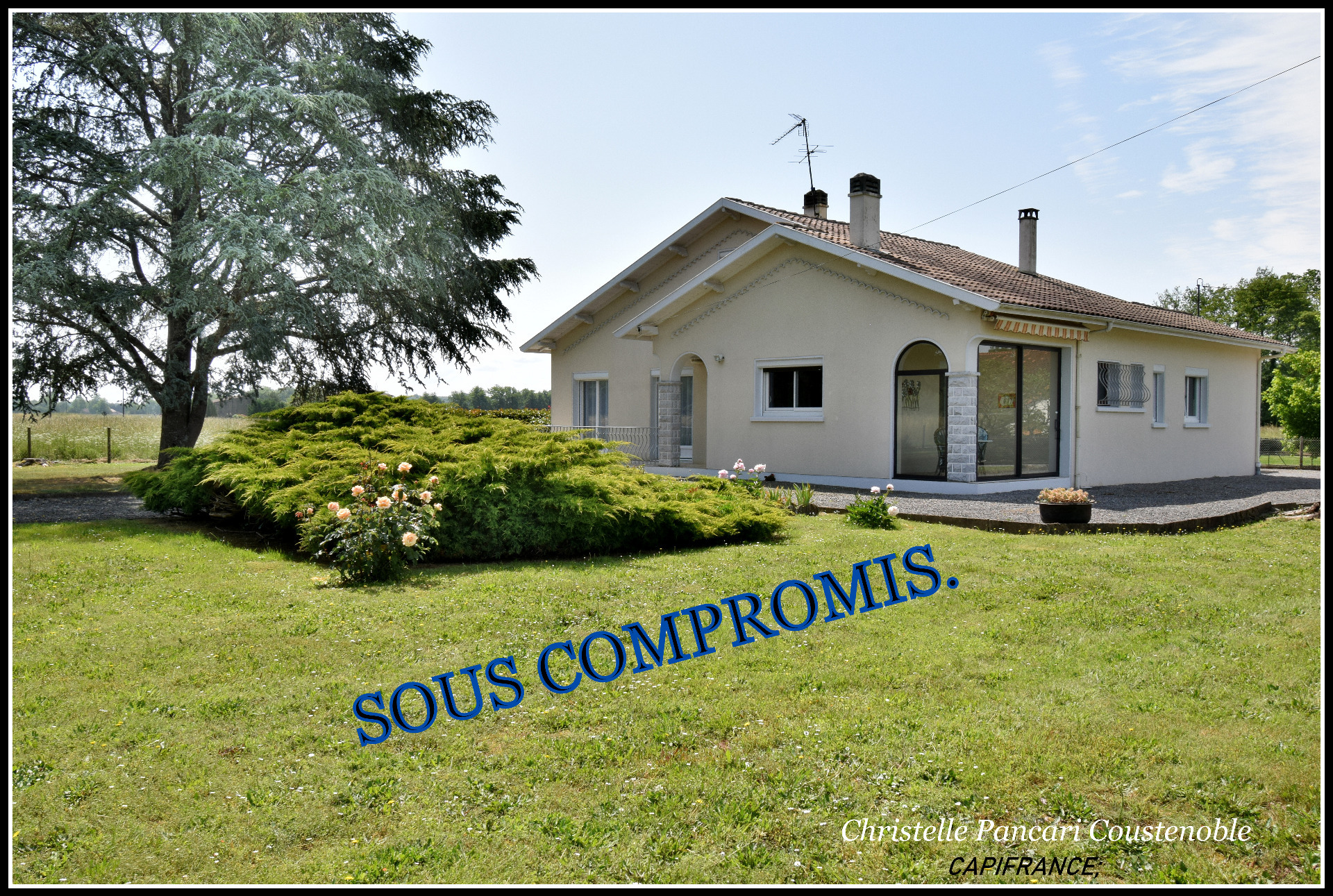 Maison
