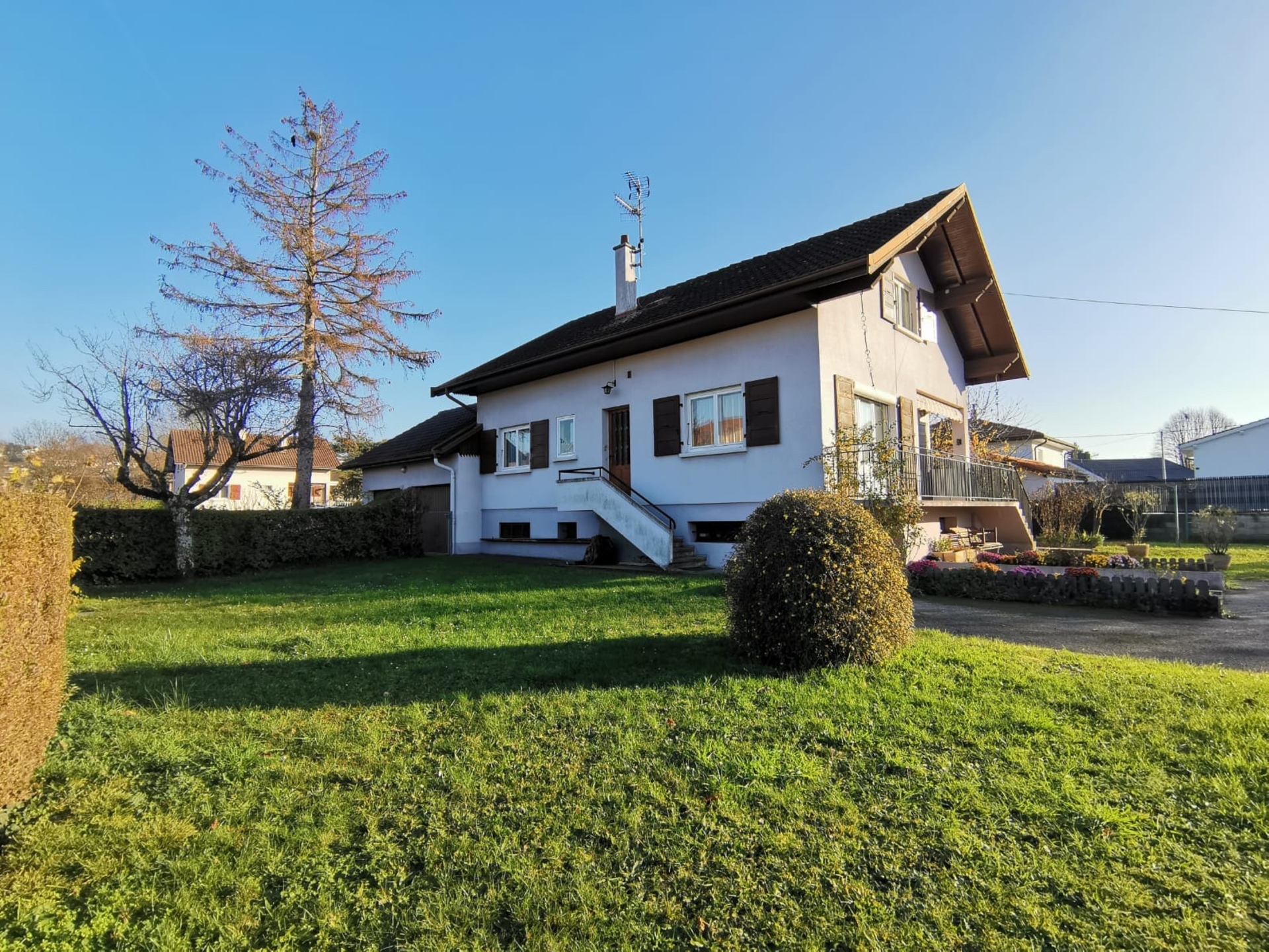 Maison