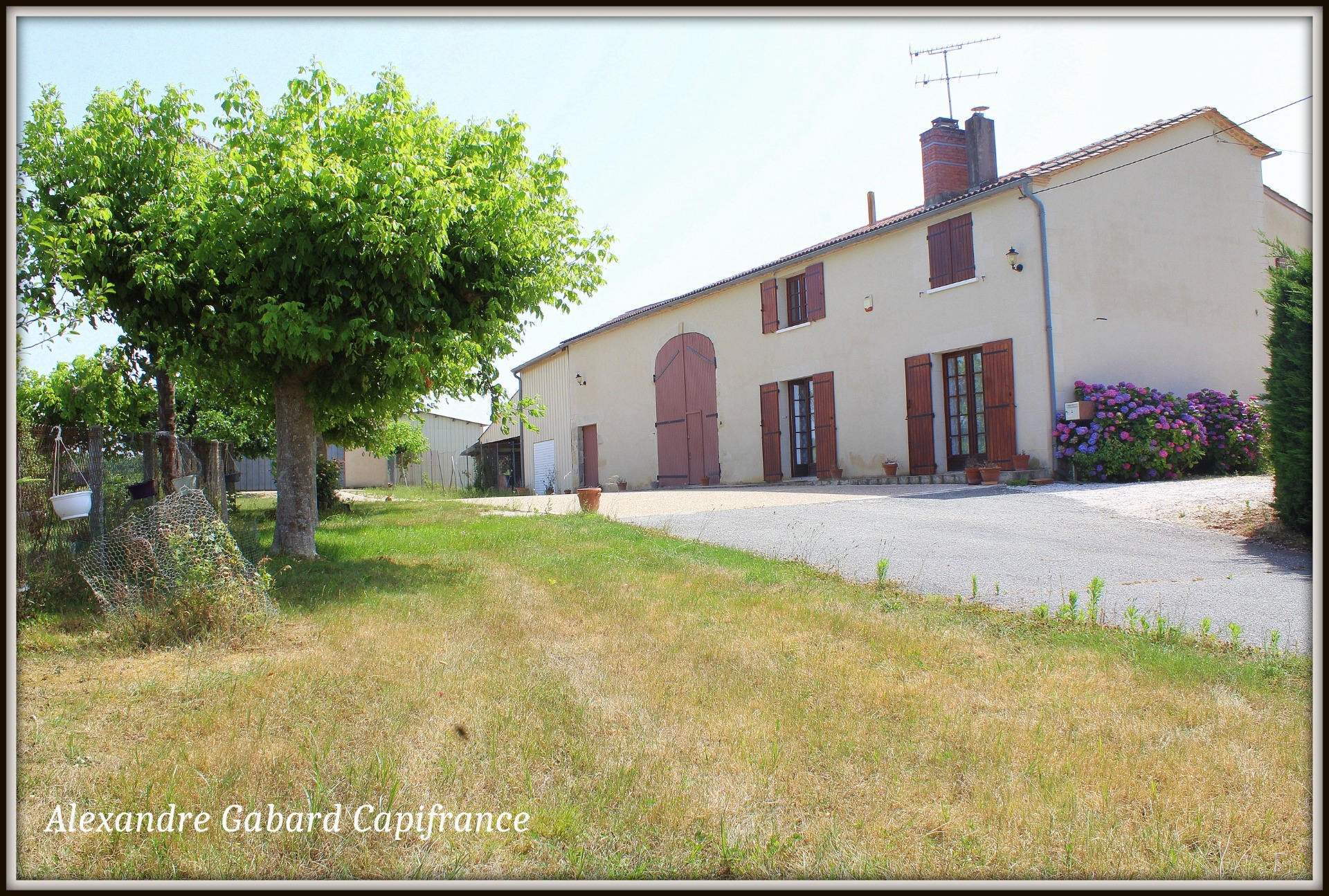 Maison