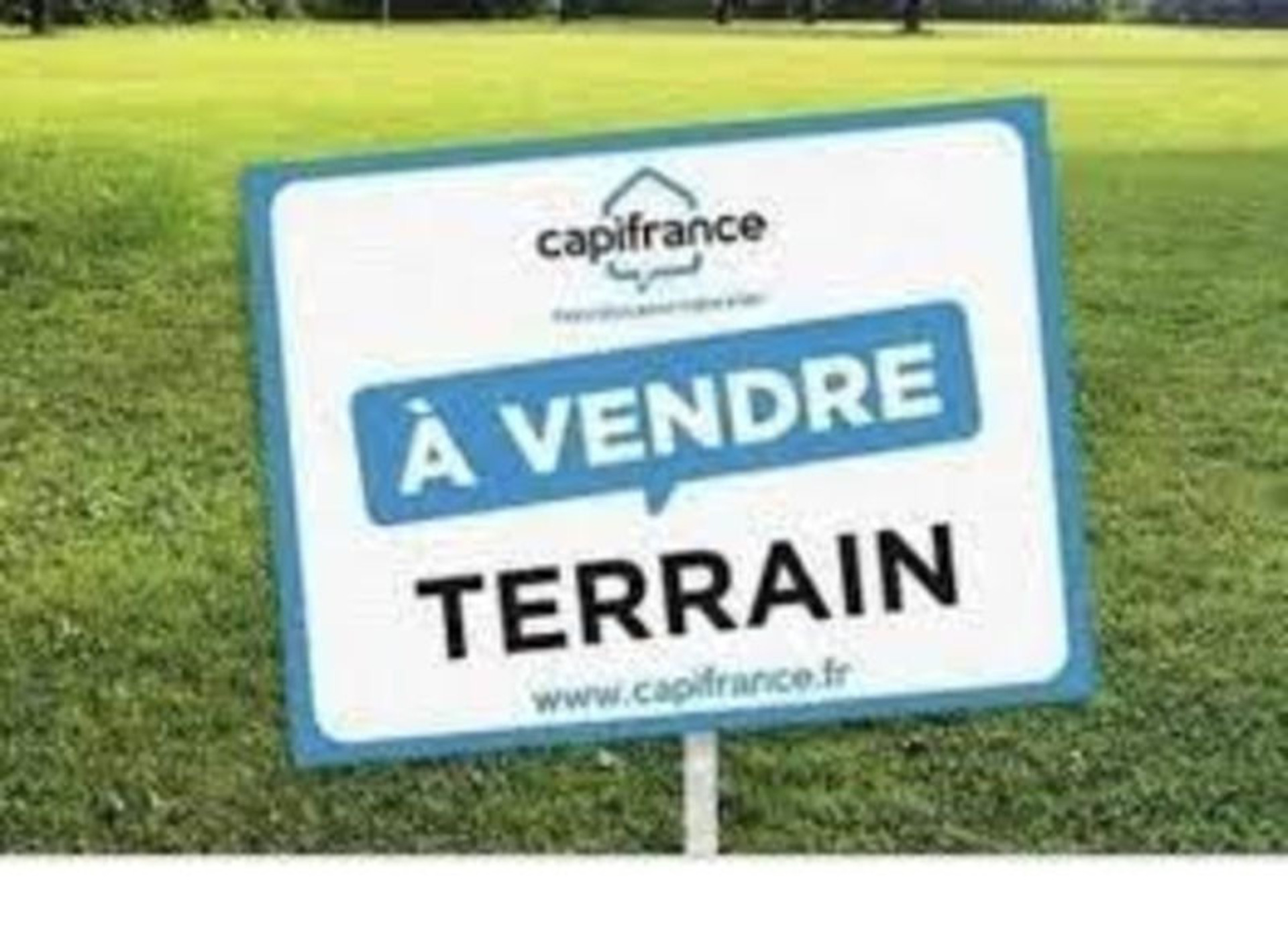 Terrain