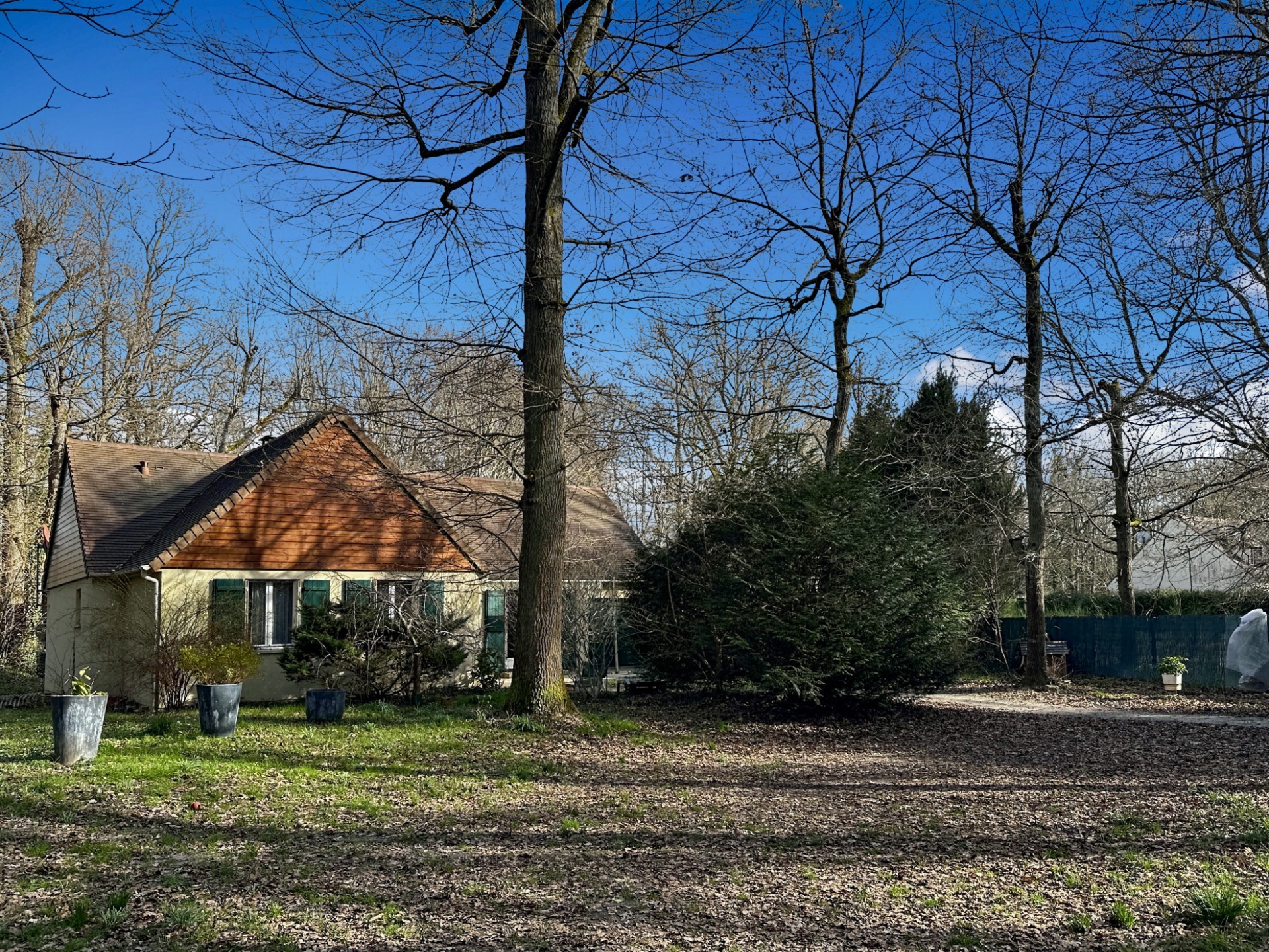 Maison