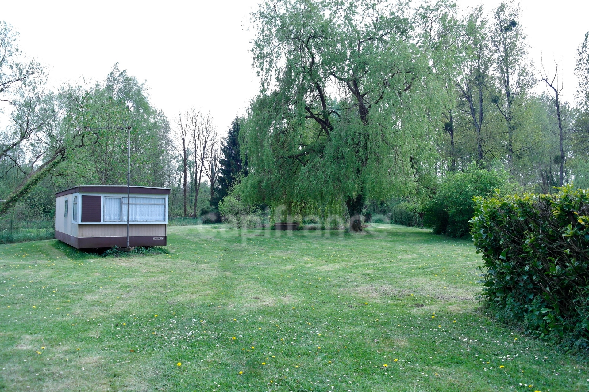 Terrain
