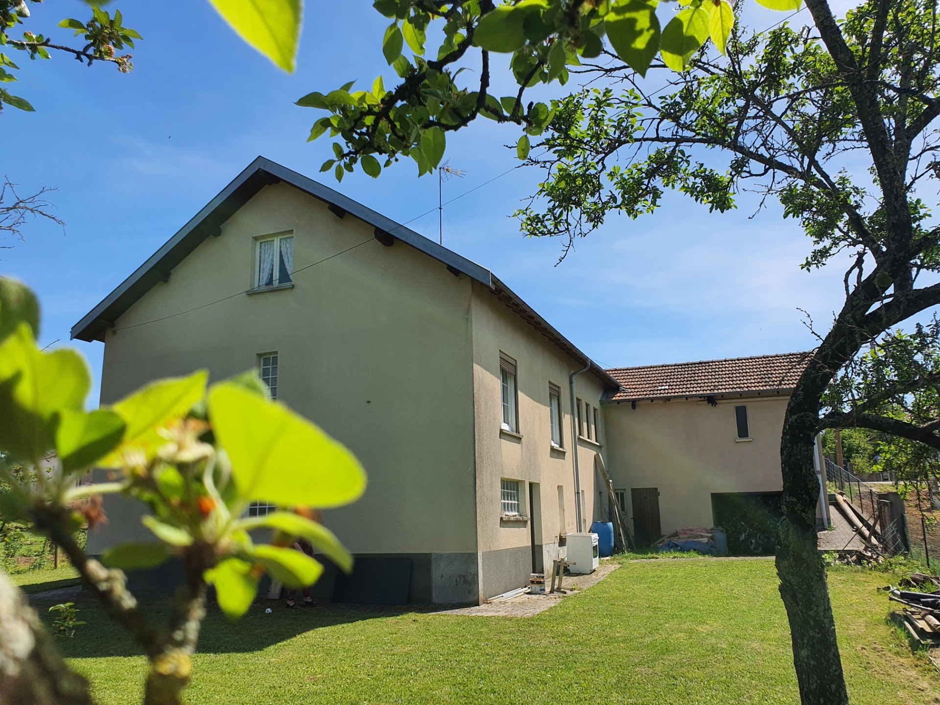 Maison