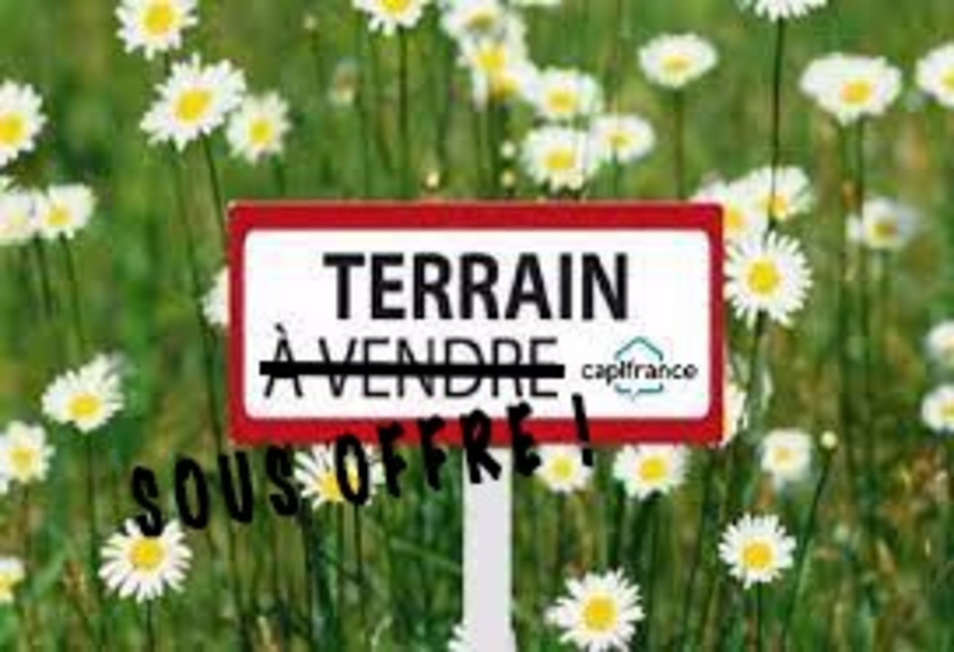 Terrain