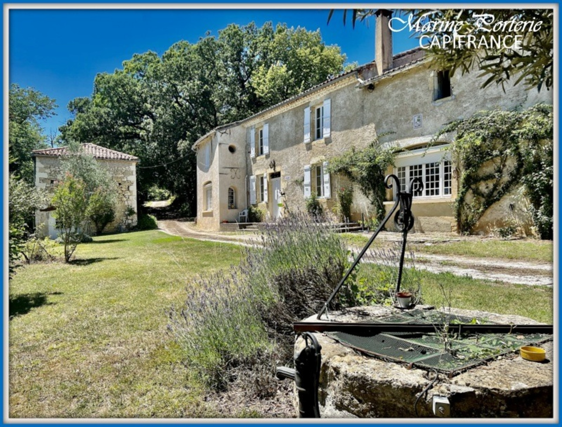 Maison