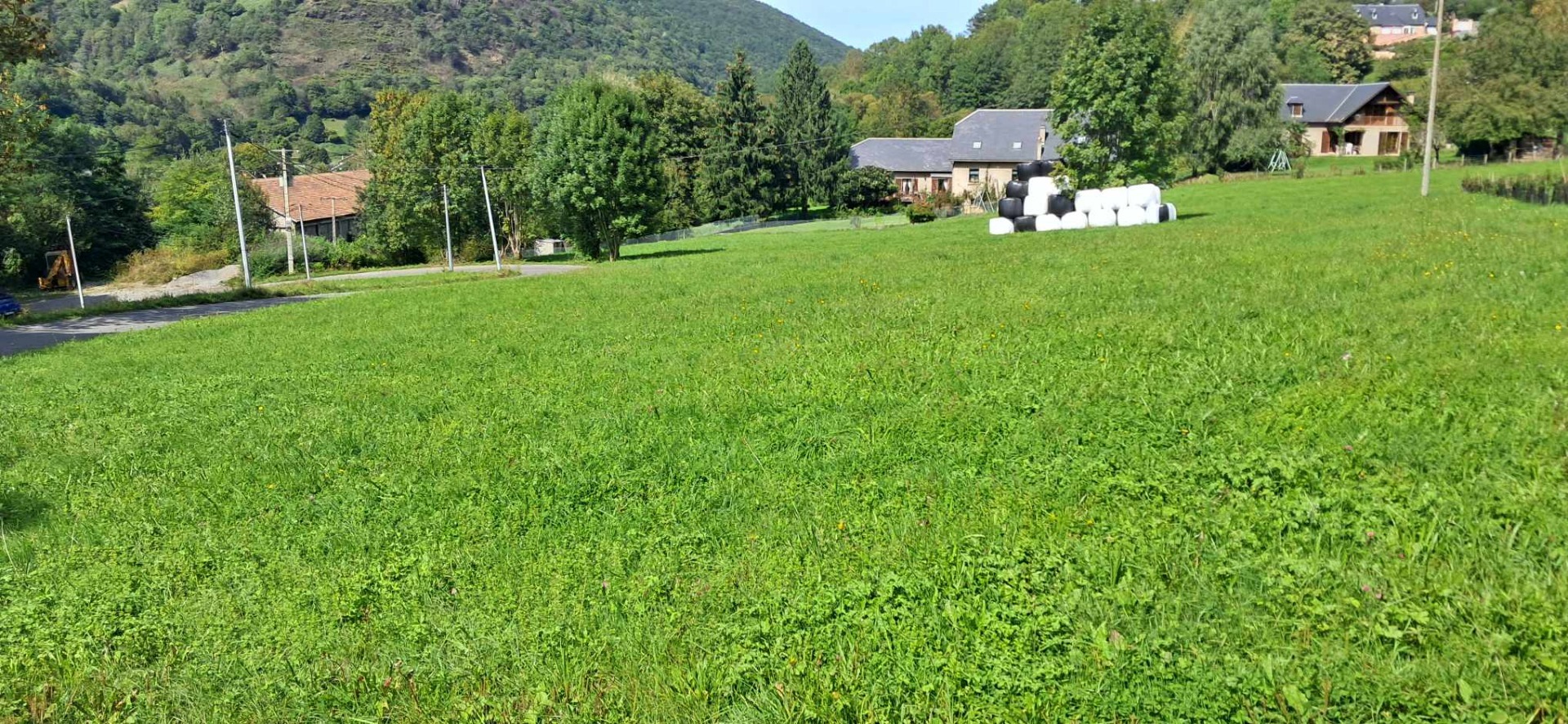 Terrain