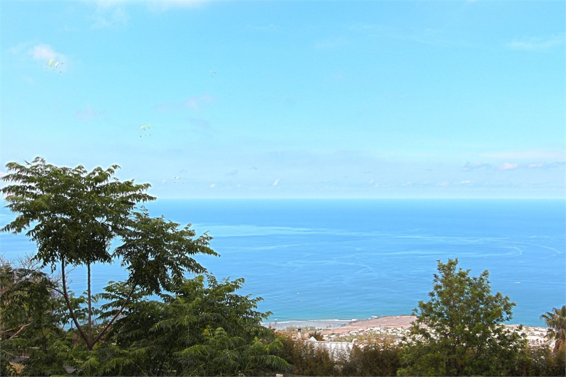 Terrain