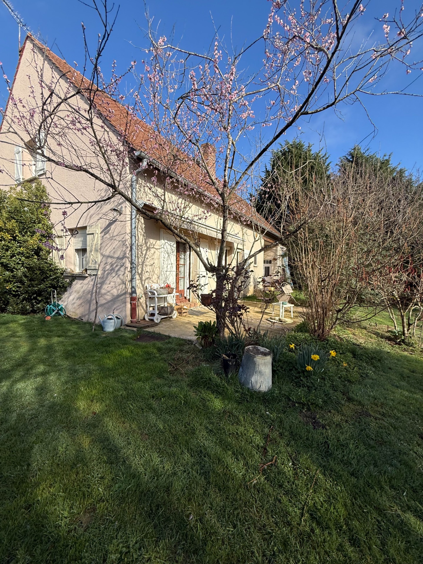 Maison