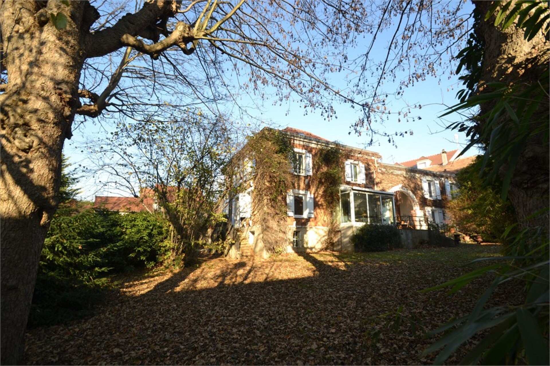 Maison