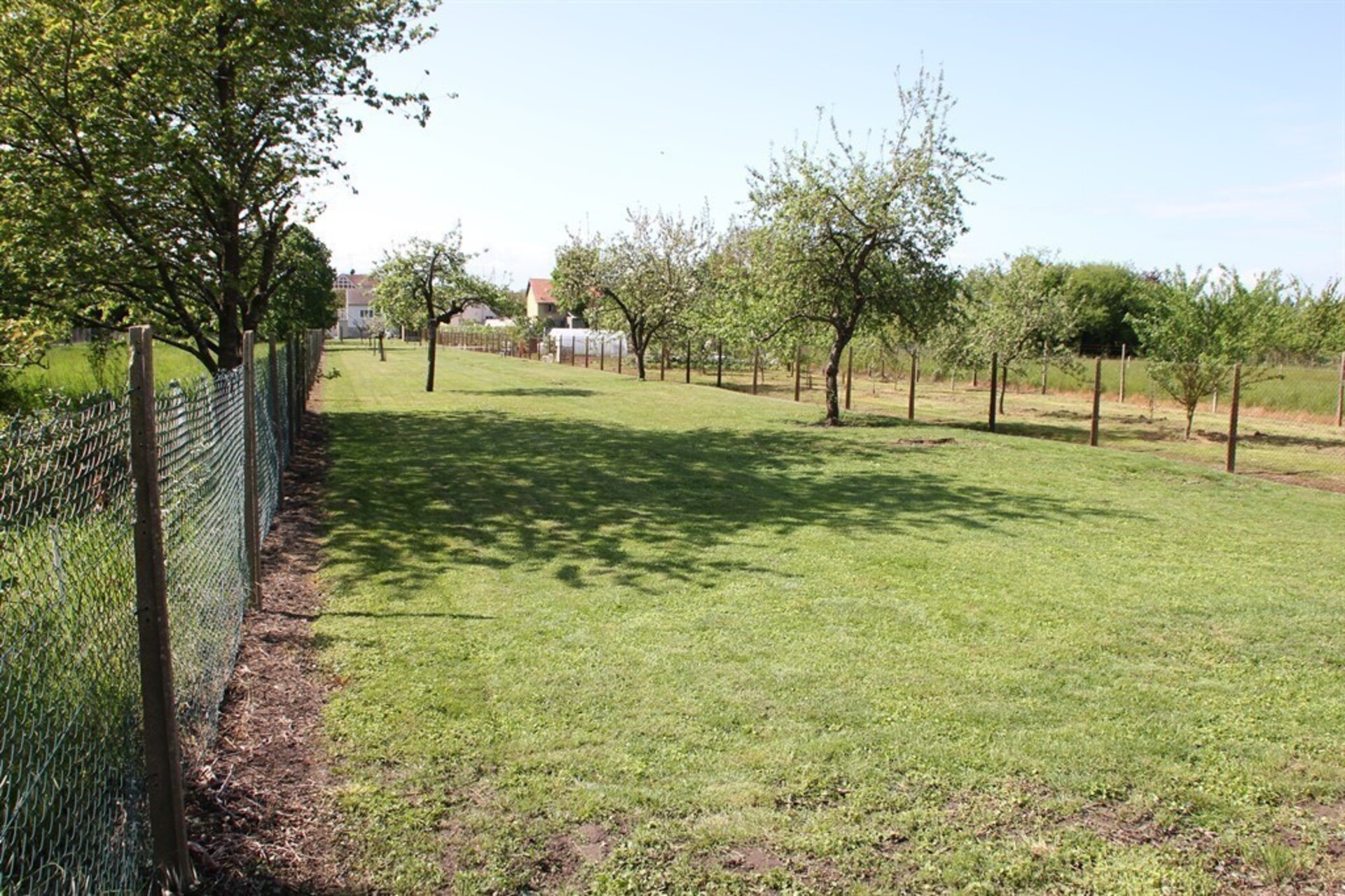 Terrain