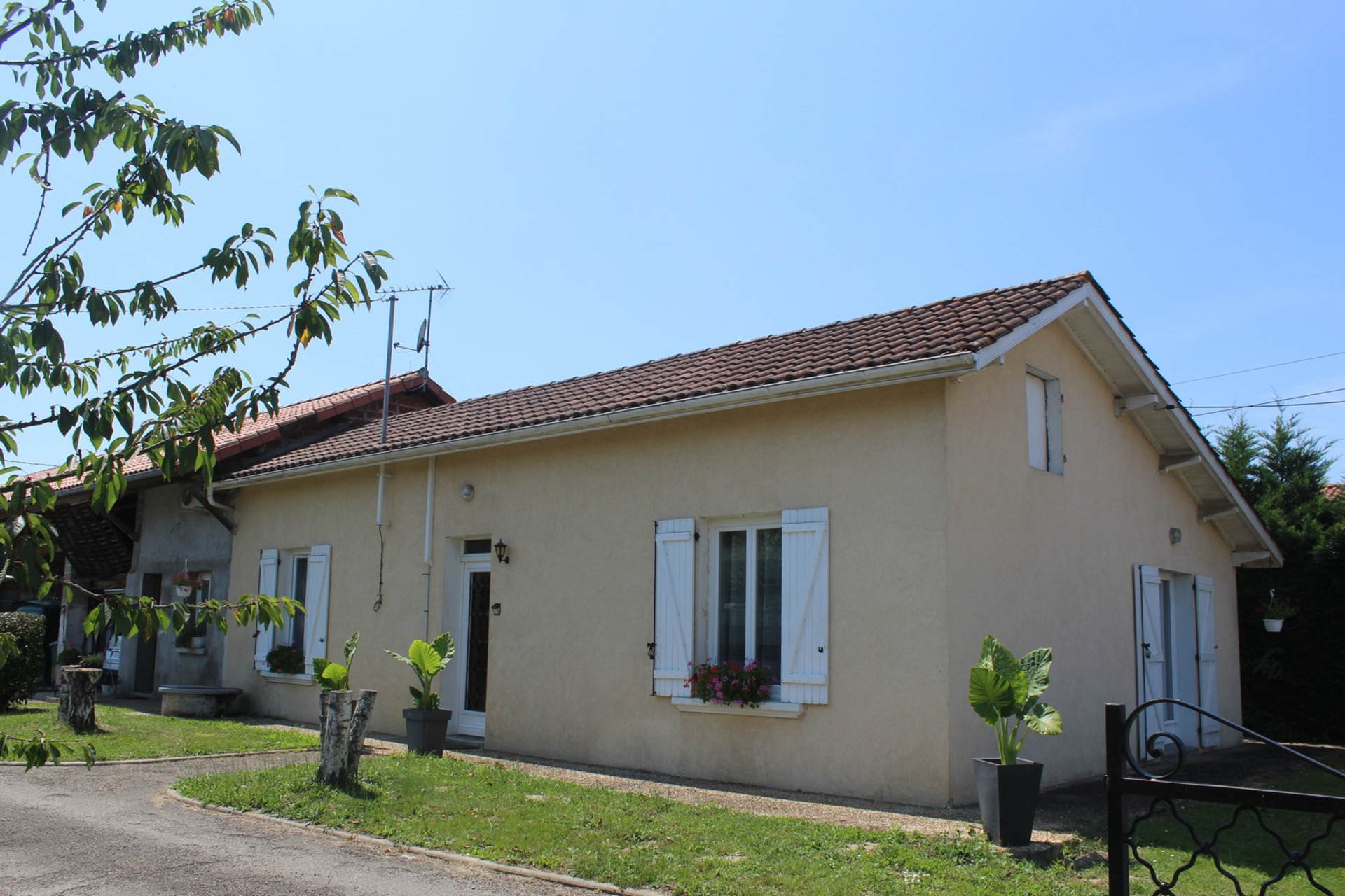 Maison