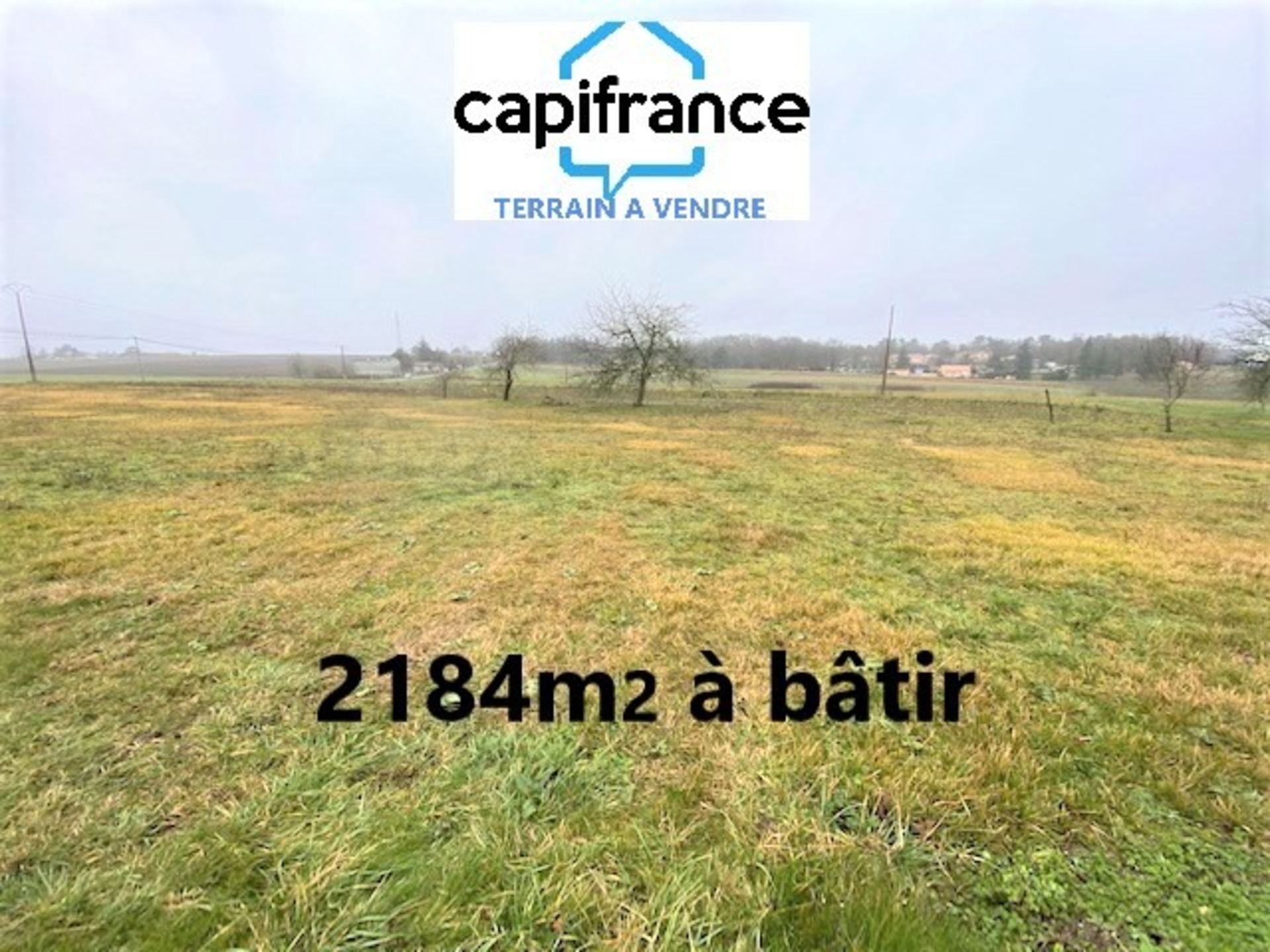 Terrain