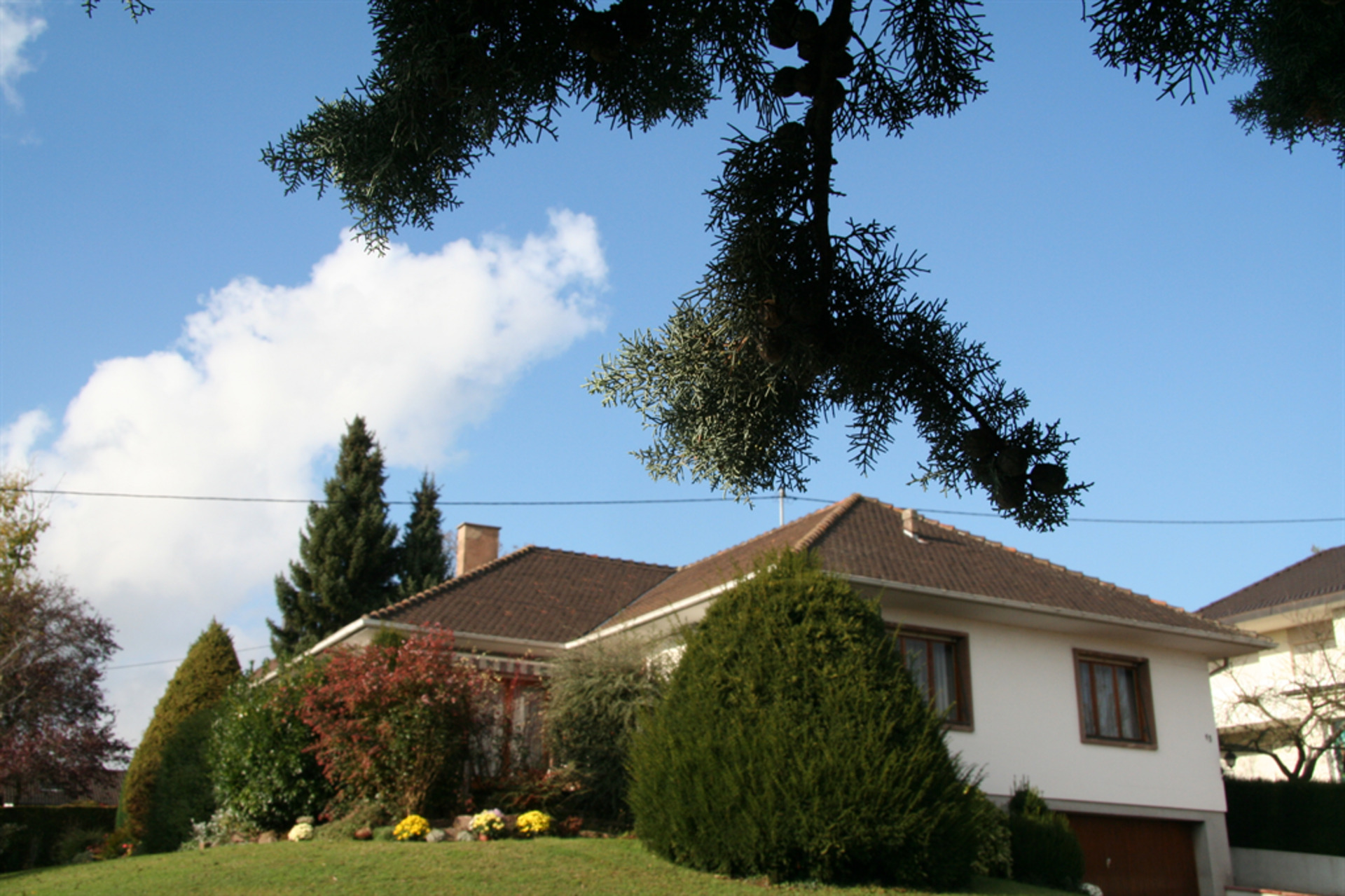 Maison