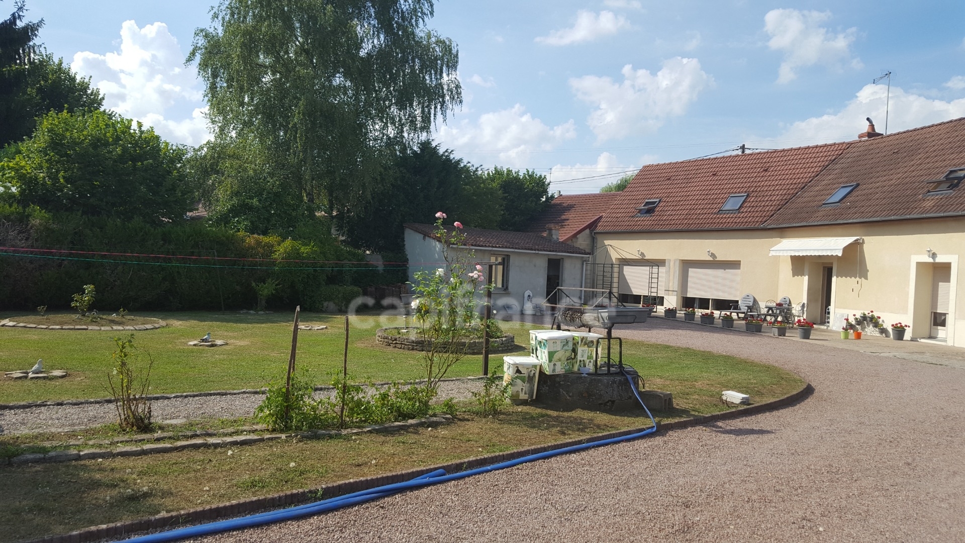 Maison