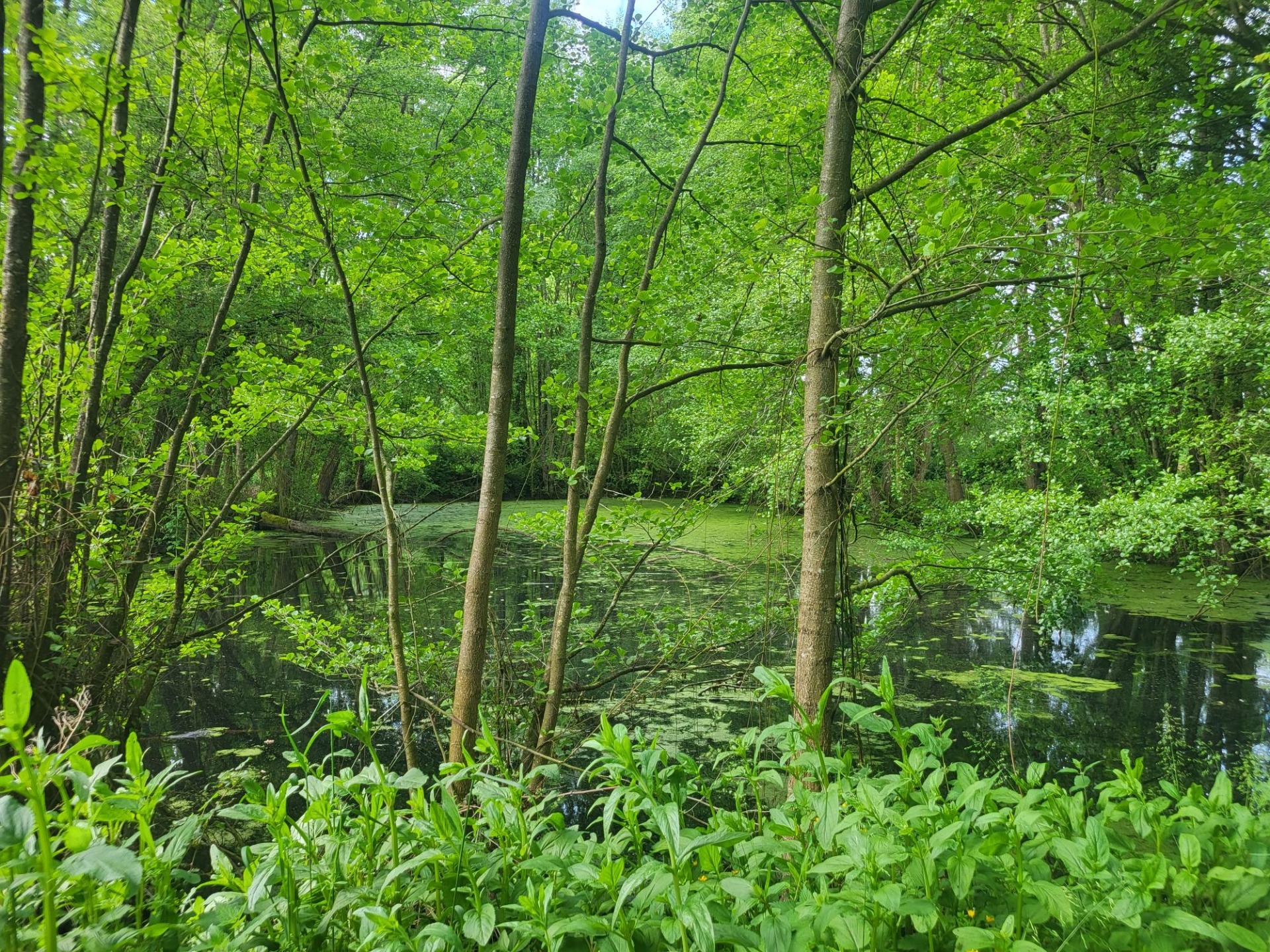 Terrain
