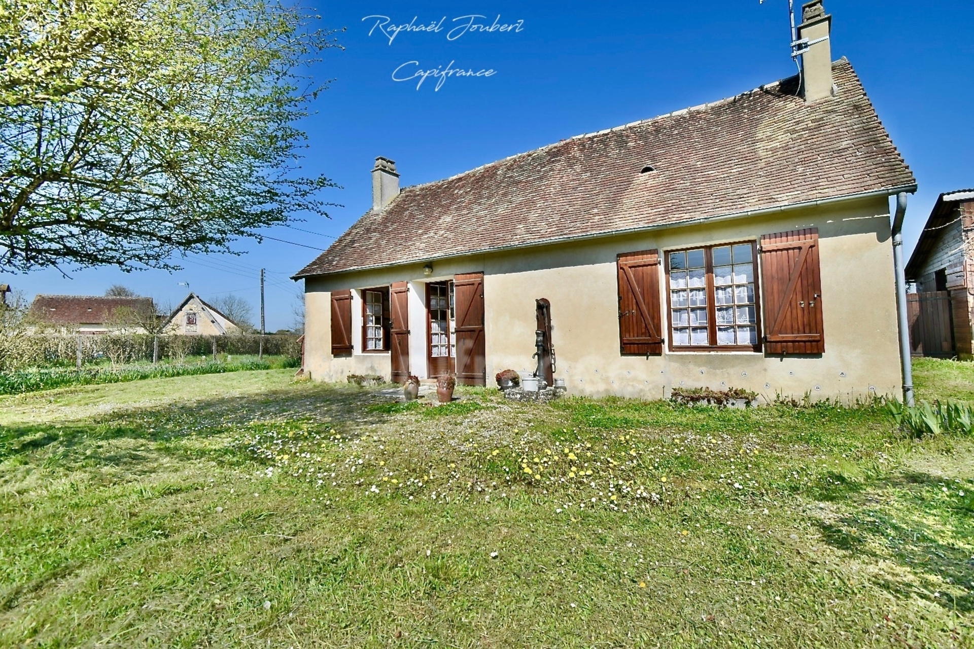 Maison