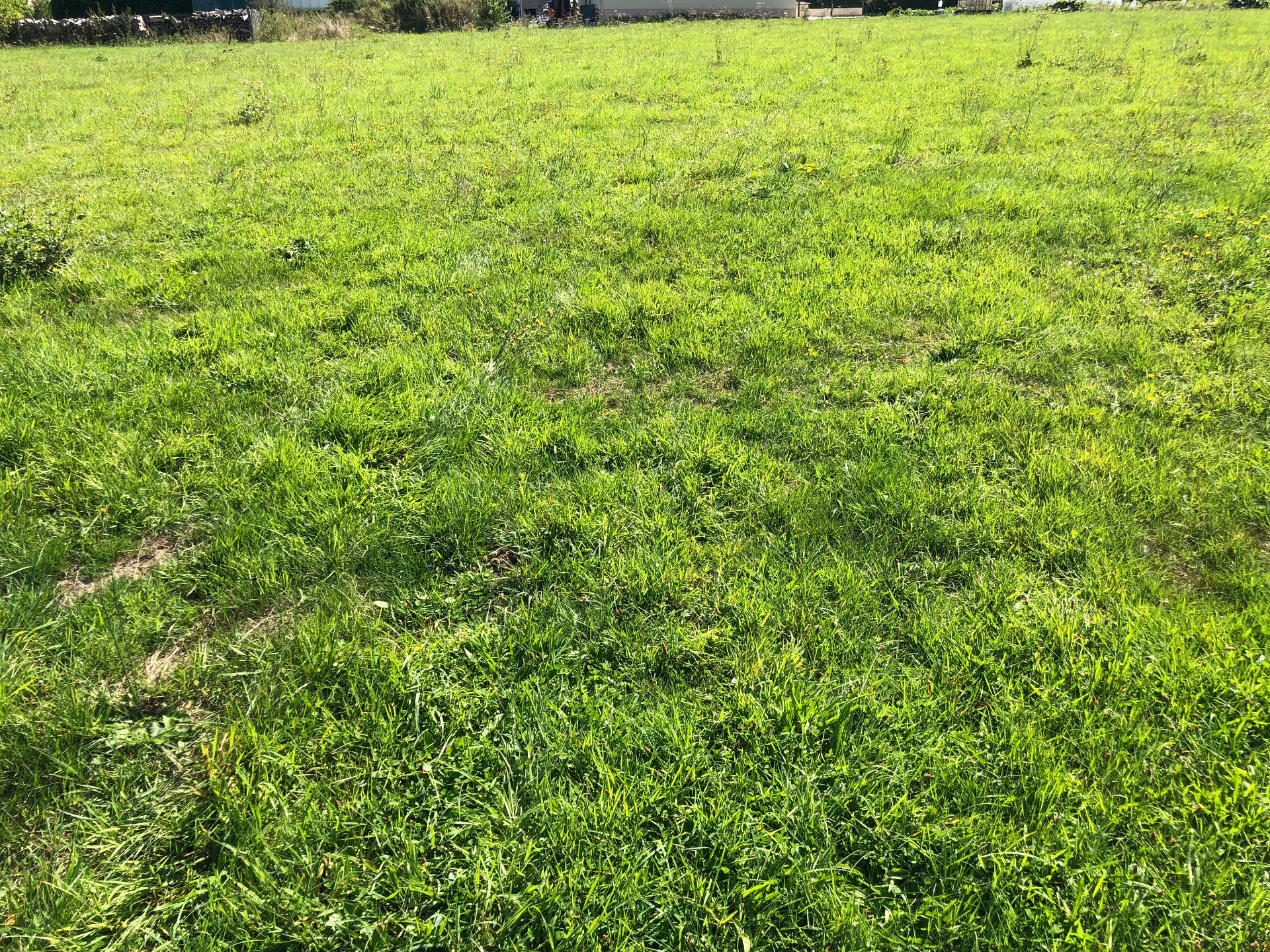 Terrain