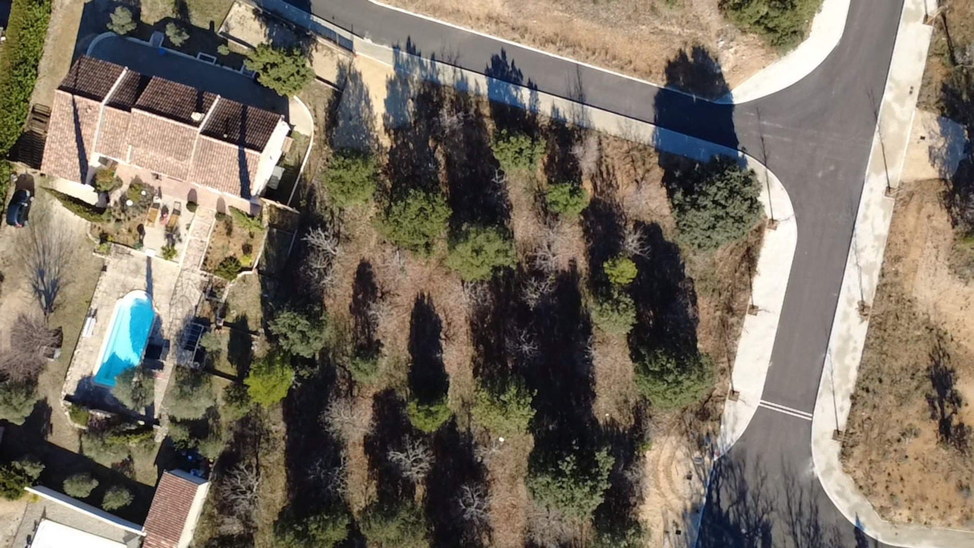 Terrain