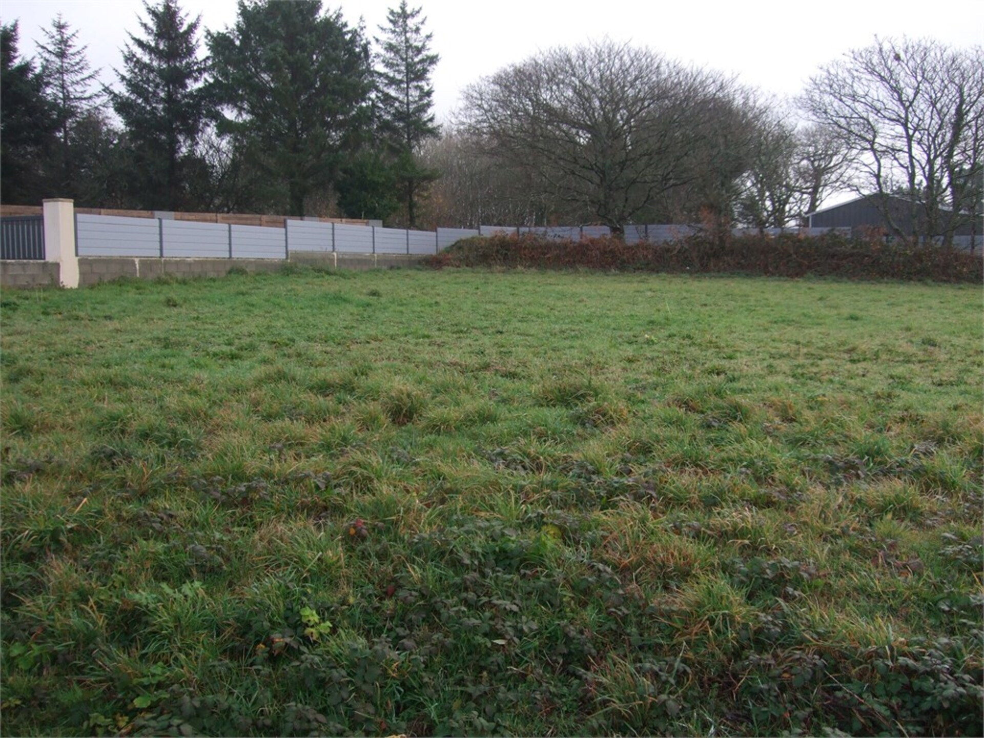 Terrain