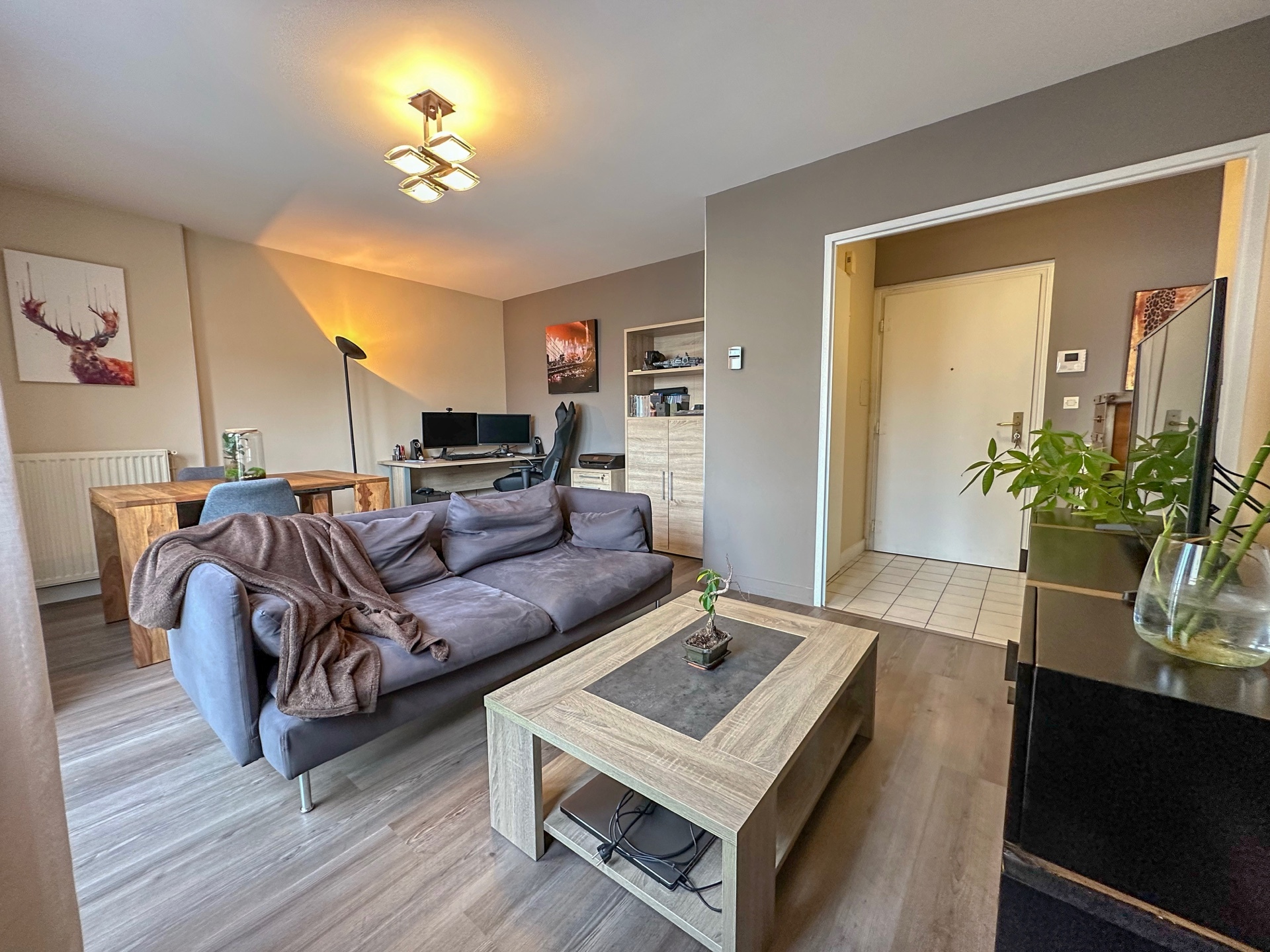 Appartement