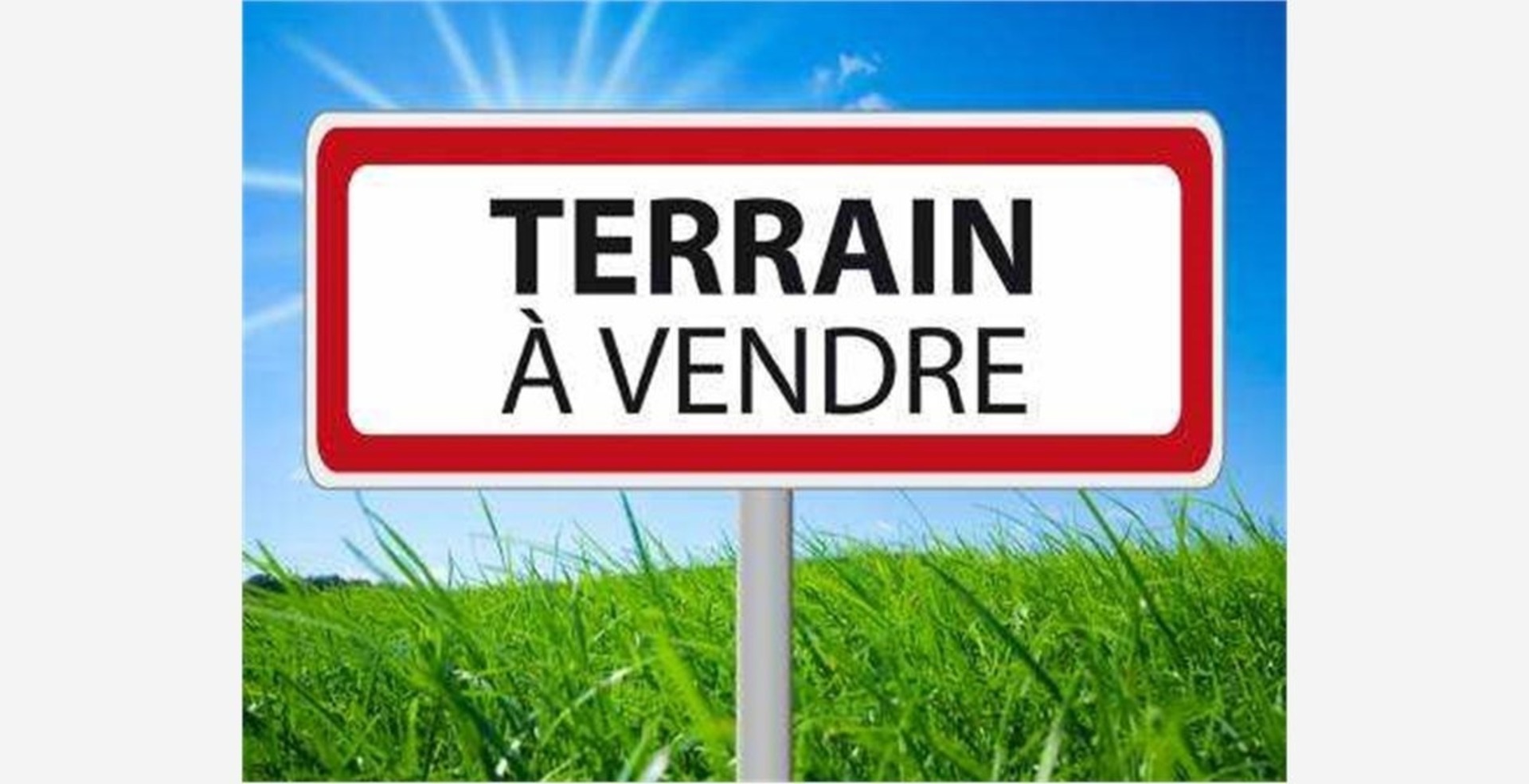 Terrain