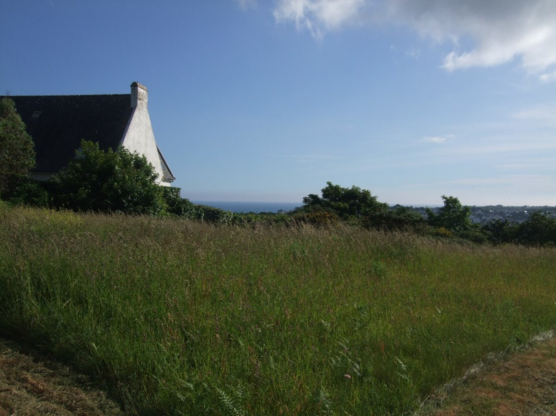 Terrain