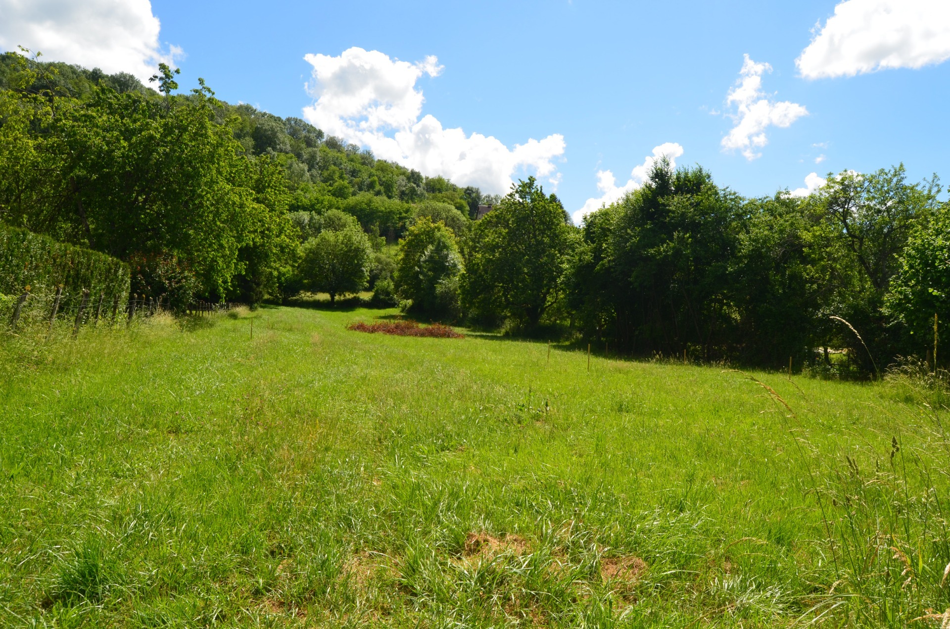 Terrain