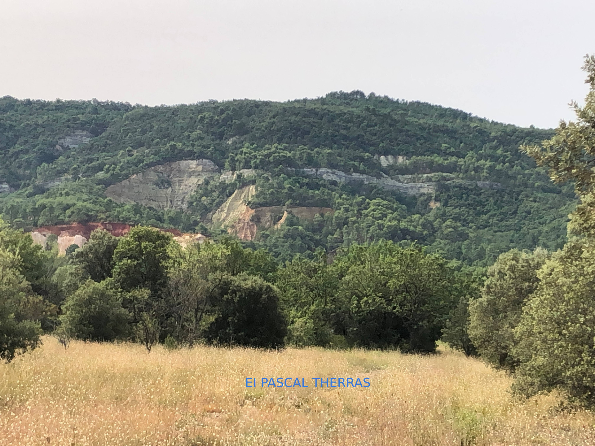 Terrain