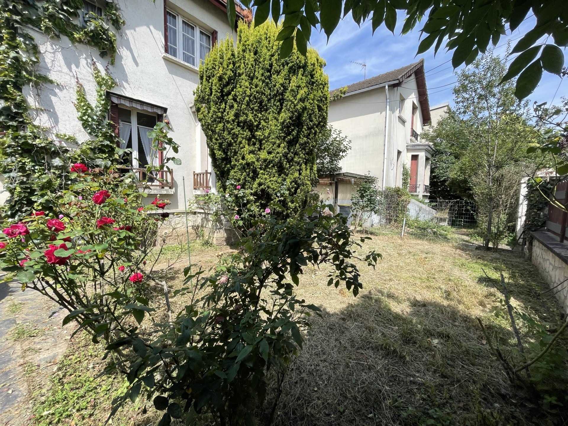 Maison