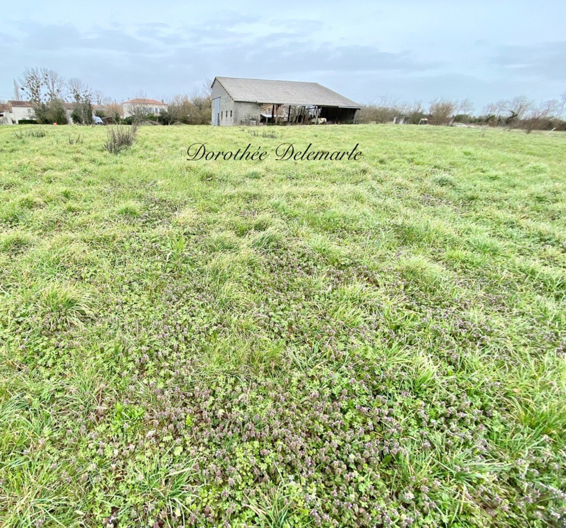 Terrain