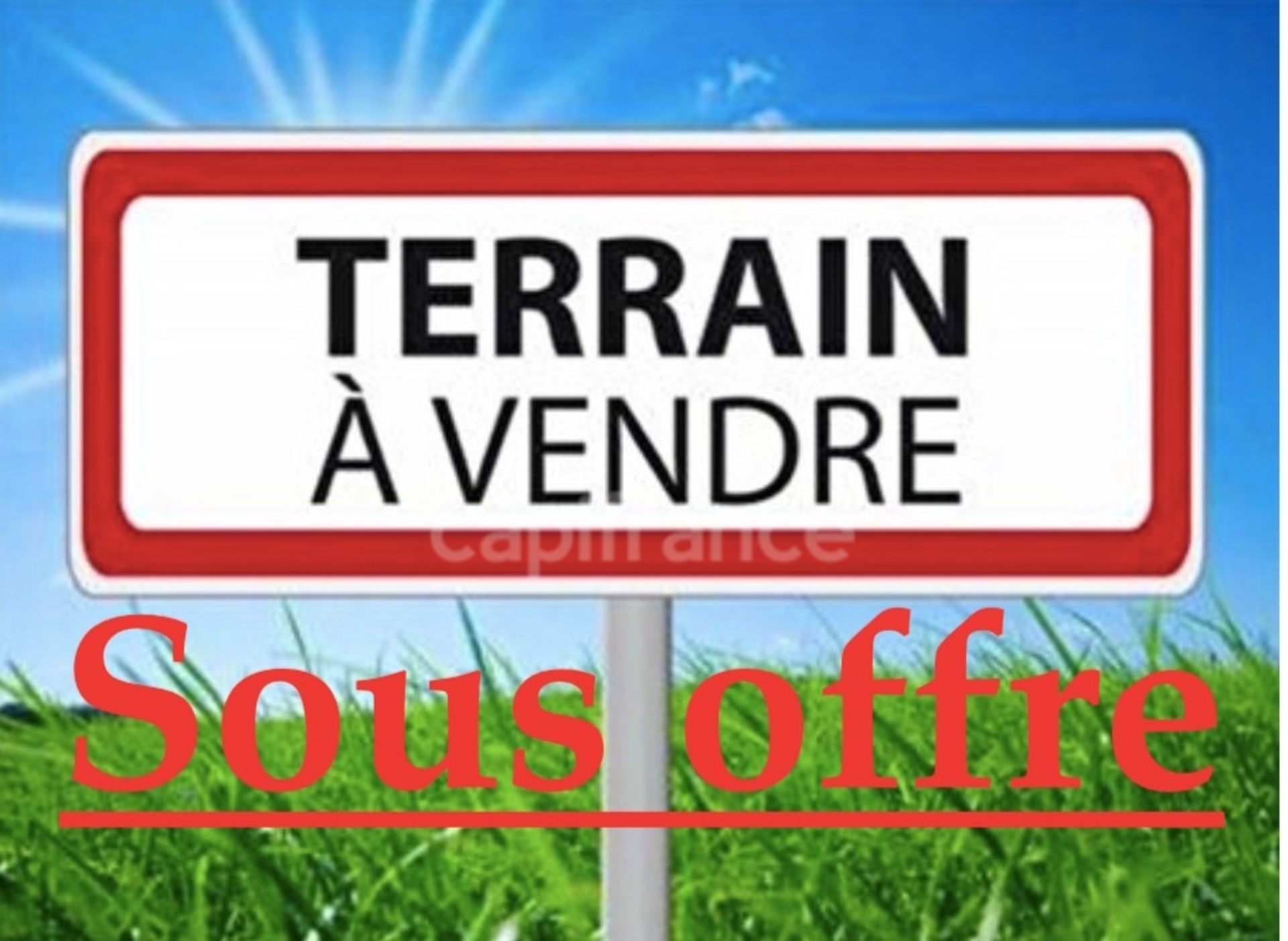 Terrain
