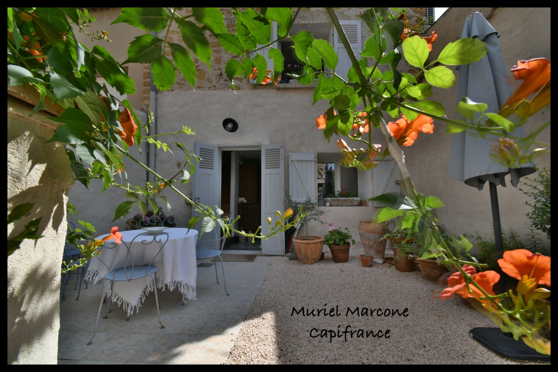 Maison
