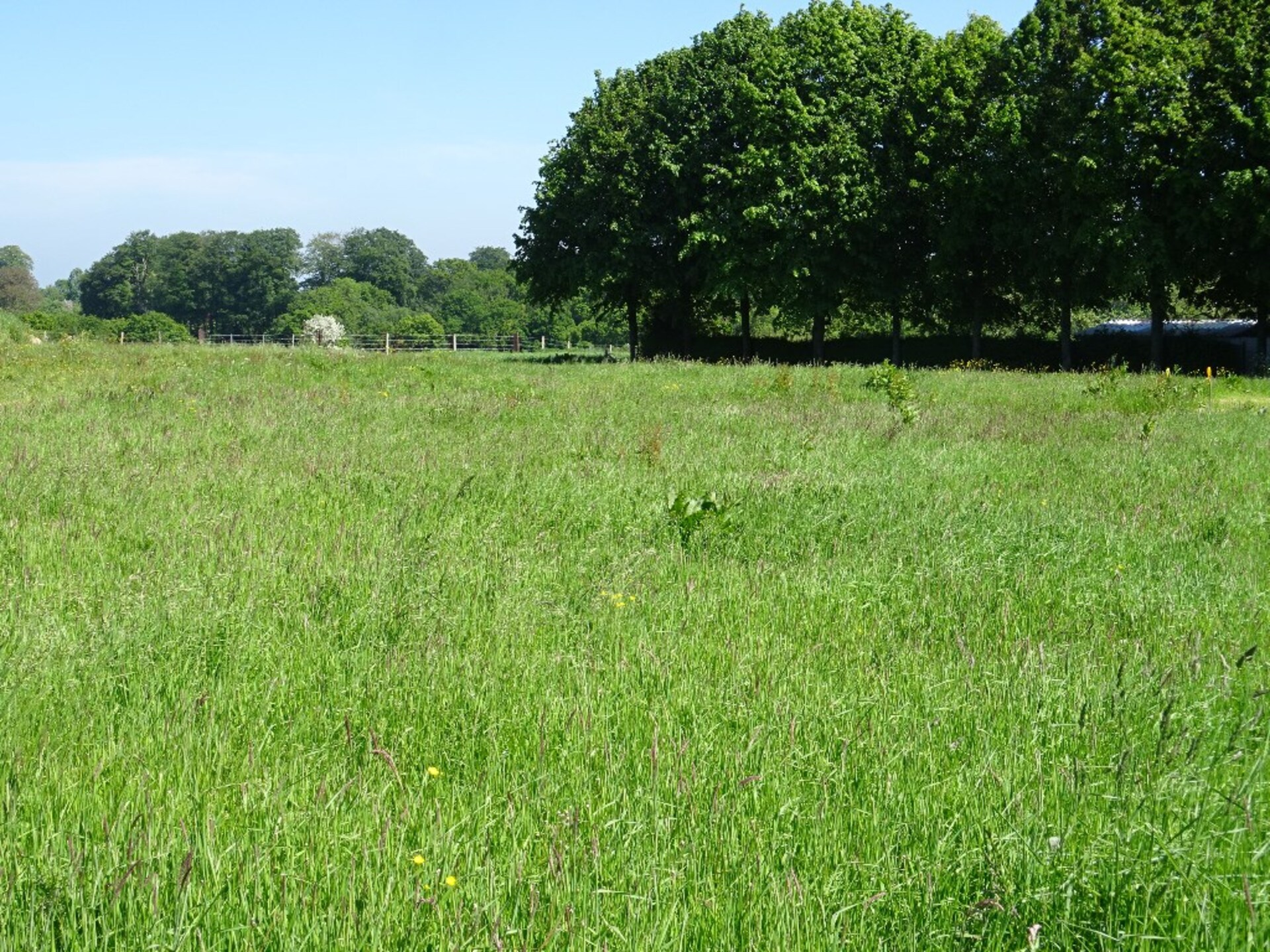 Terrain