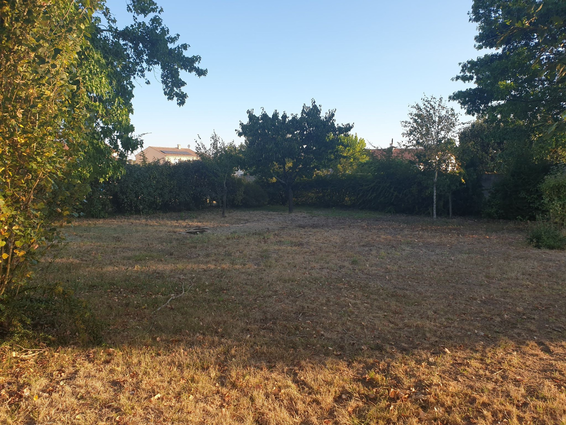 Terrain