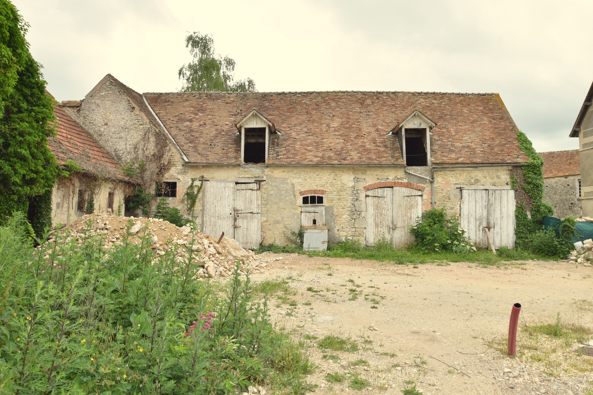 Maison