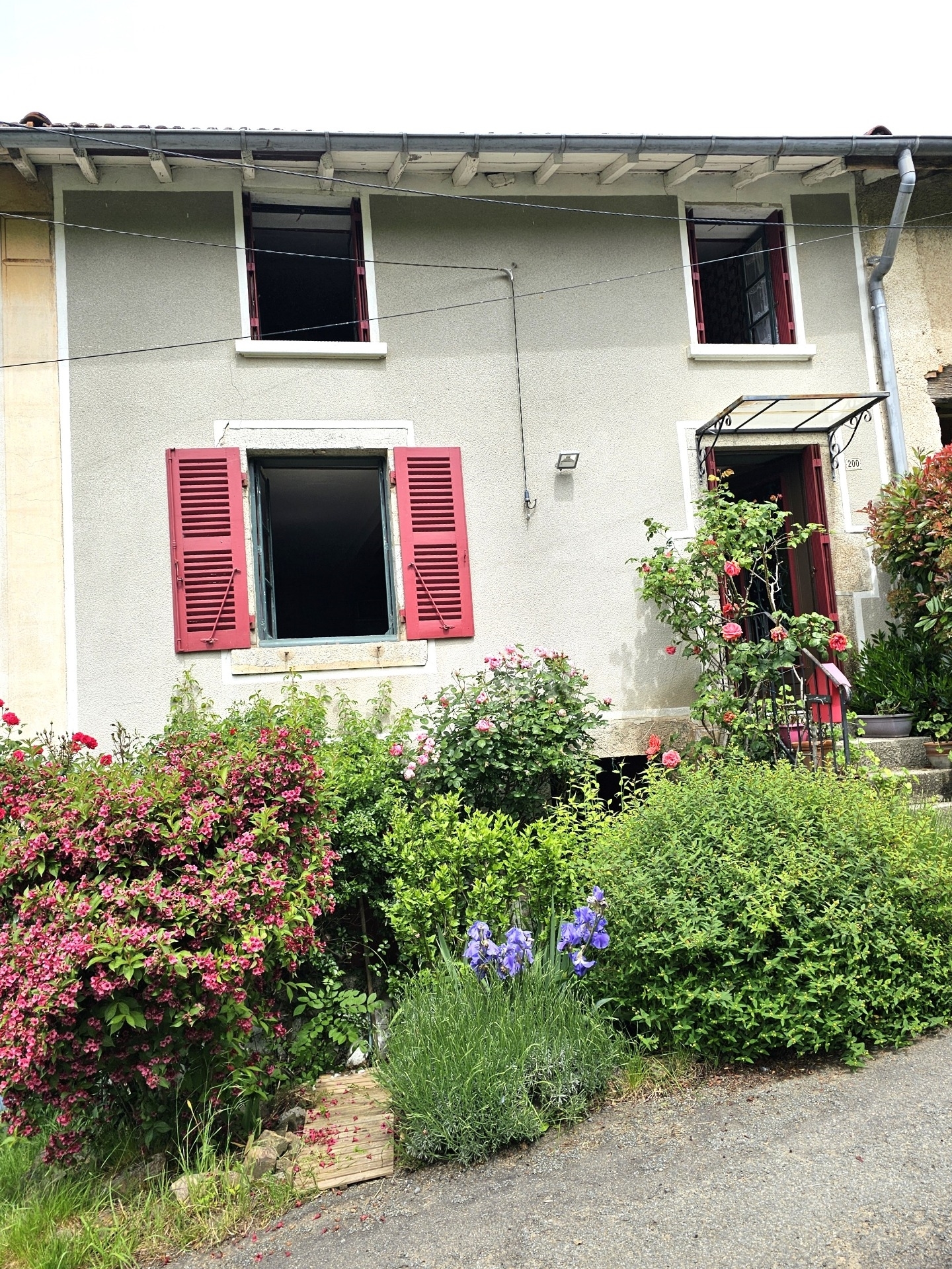 Maison